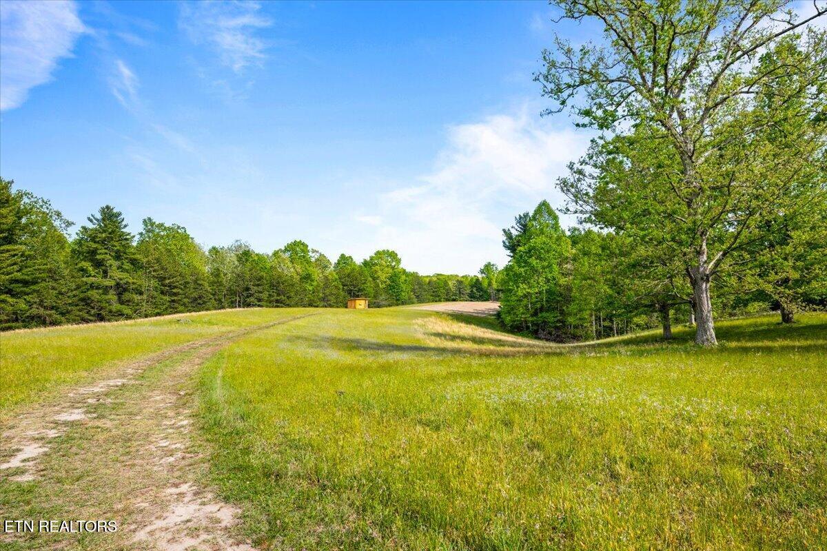 2670 Leatherwood Ford Road Jamestown, TN 38556 - Photo 44 of 57 Pastoral Views