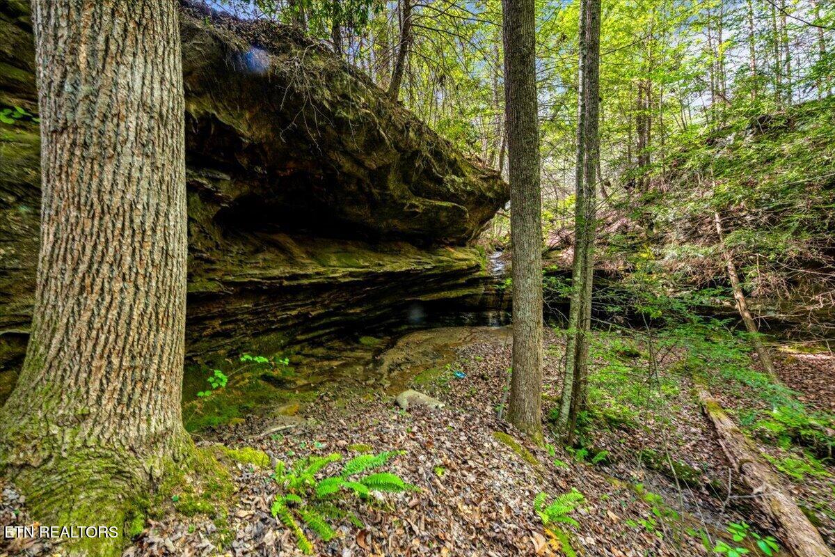 2670 Leatherwood Ford Road Jamestown, TN 38556 - Photo 55 of 57 Beautiful Bluffs and Caves