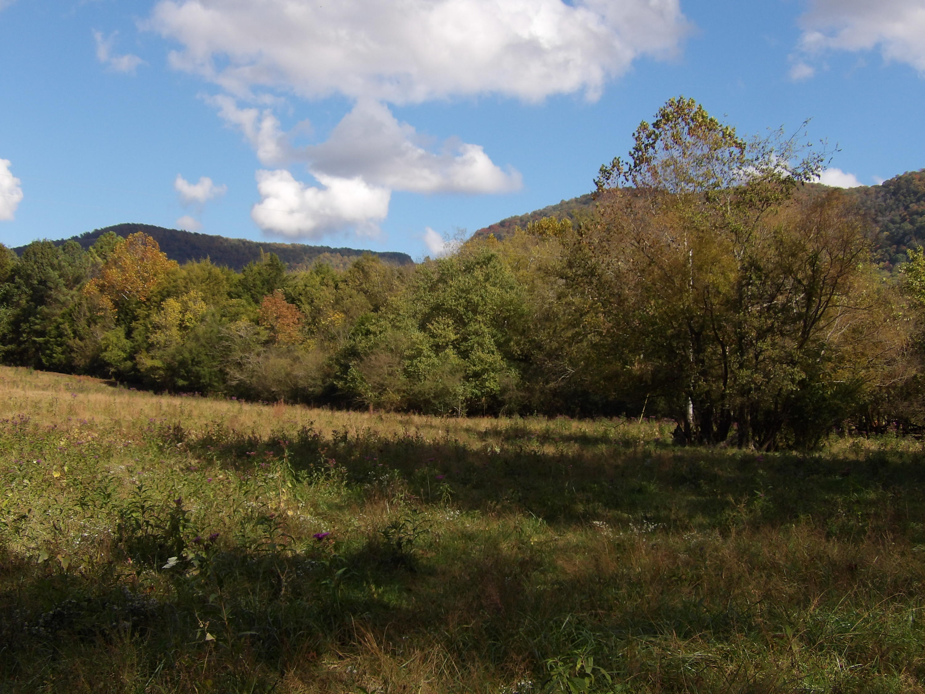 10100 East Valley Road, Unit UPPR EAST Pikeville, TN 37367 - Photo 27 of 68 100_1524