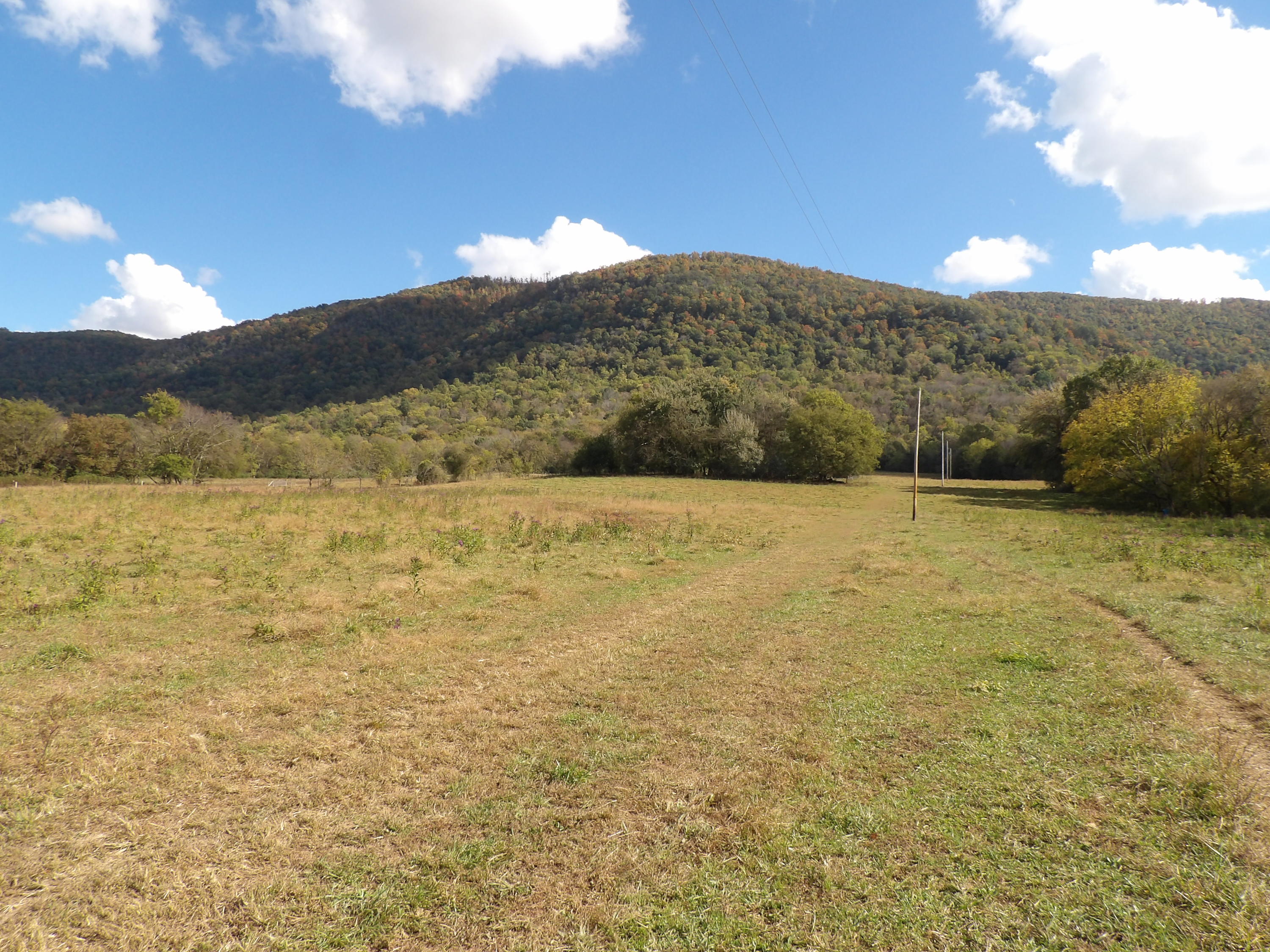10100 East Valley Road, Unit UPPR EAST Pikeville, TN 37367 - Photo 28 of 68 100_1529