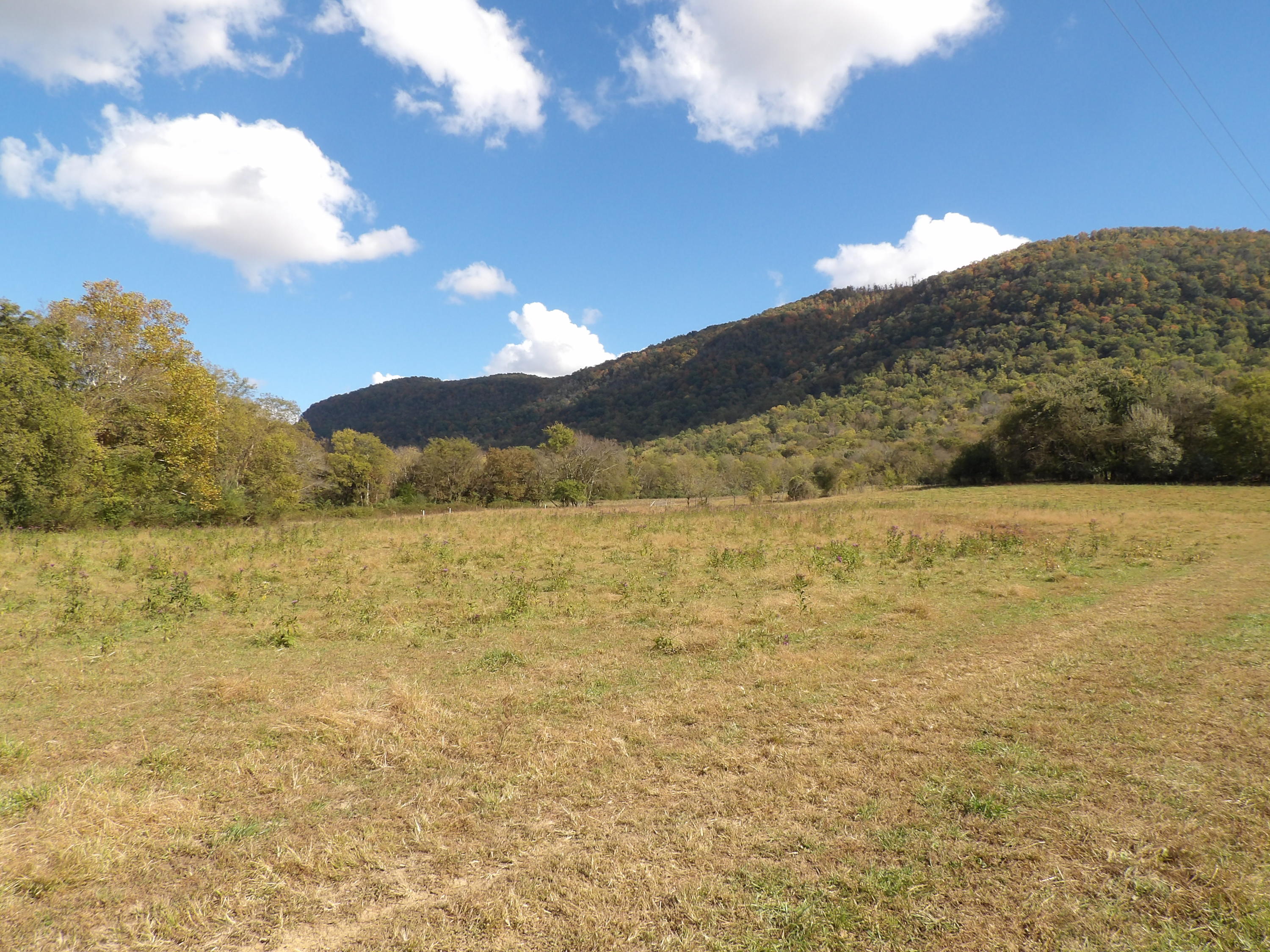10100 East Valley Road, Unit UPPR EAST Pikeville, TN 37367 - Photo 29 of 68 100_1530