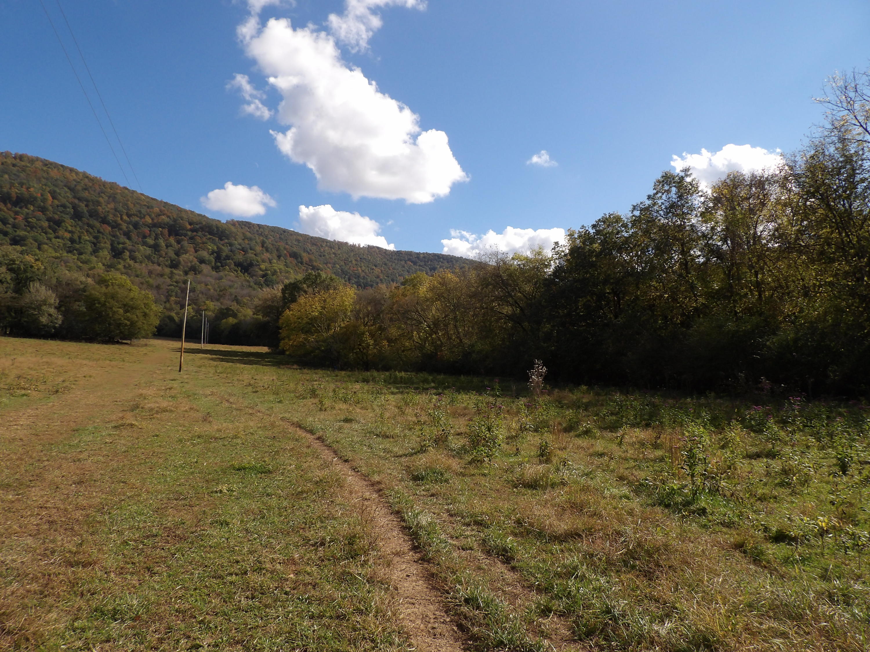 10100 East Valley Road, Unit UPPR EAST Pikeville, TN 37367 - Photo 30 of 68 100_1531