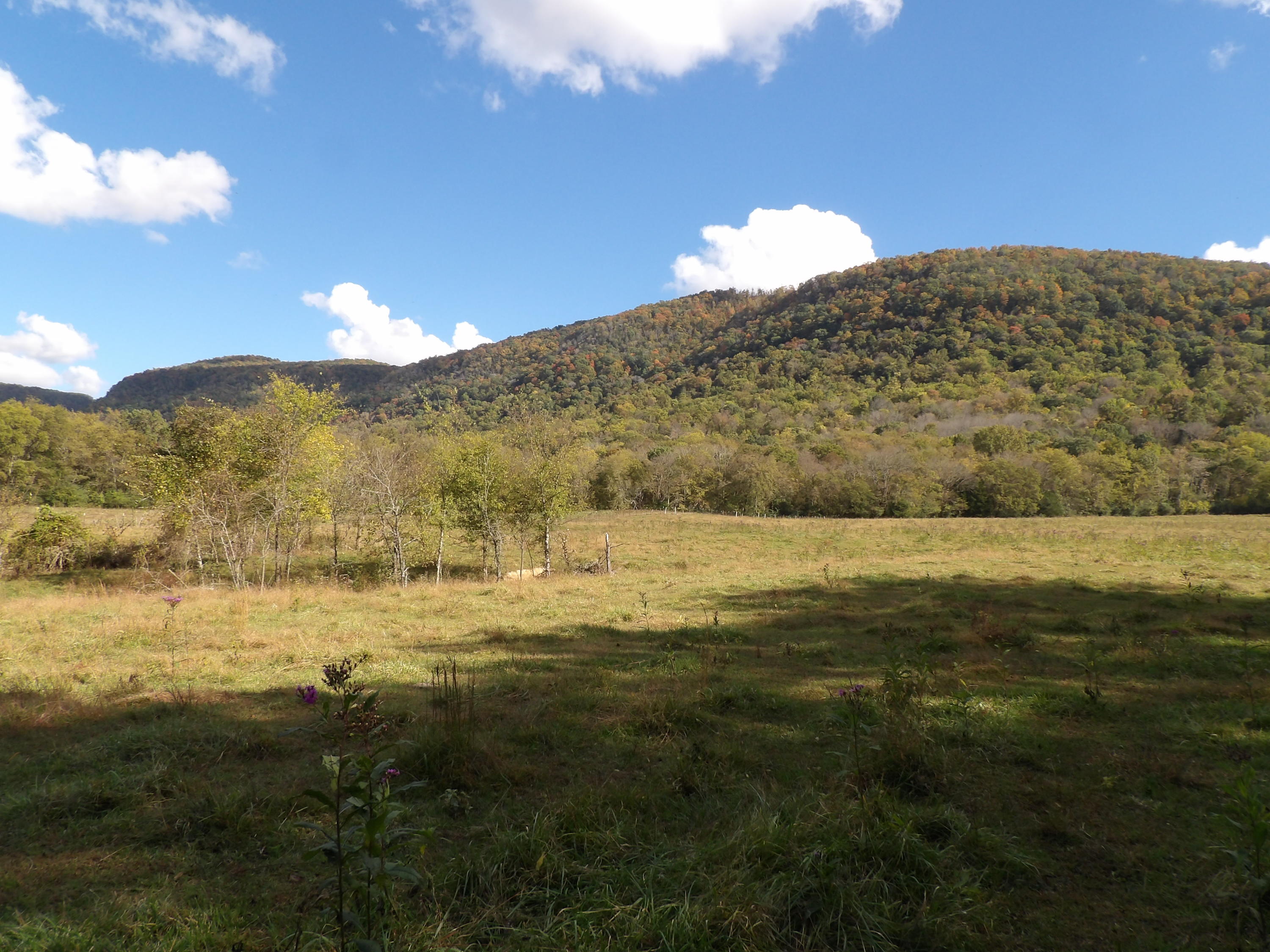 10100 East Valley Road, Unit UPPR EAST Pikeville, TN 37367 - Photo 31 of 68 100_1532