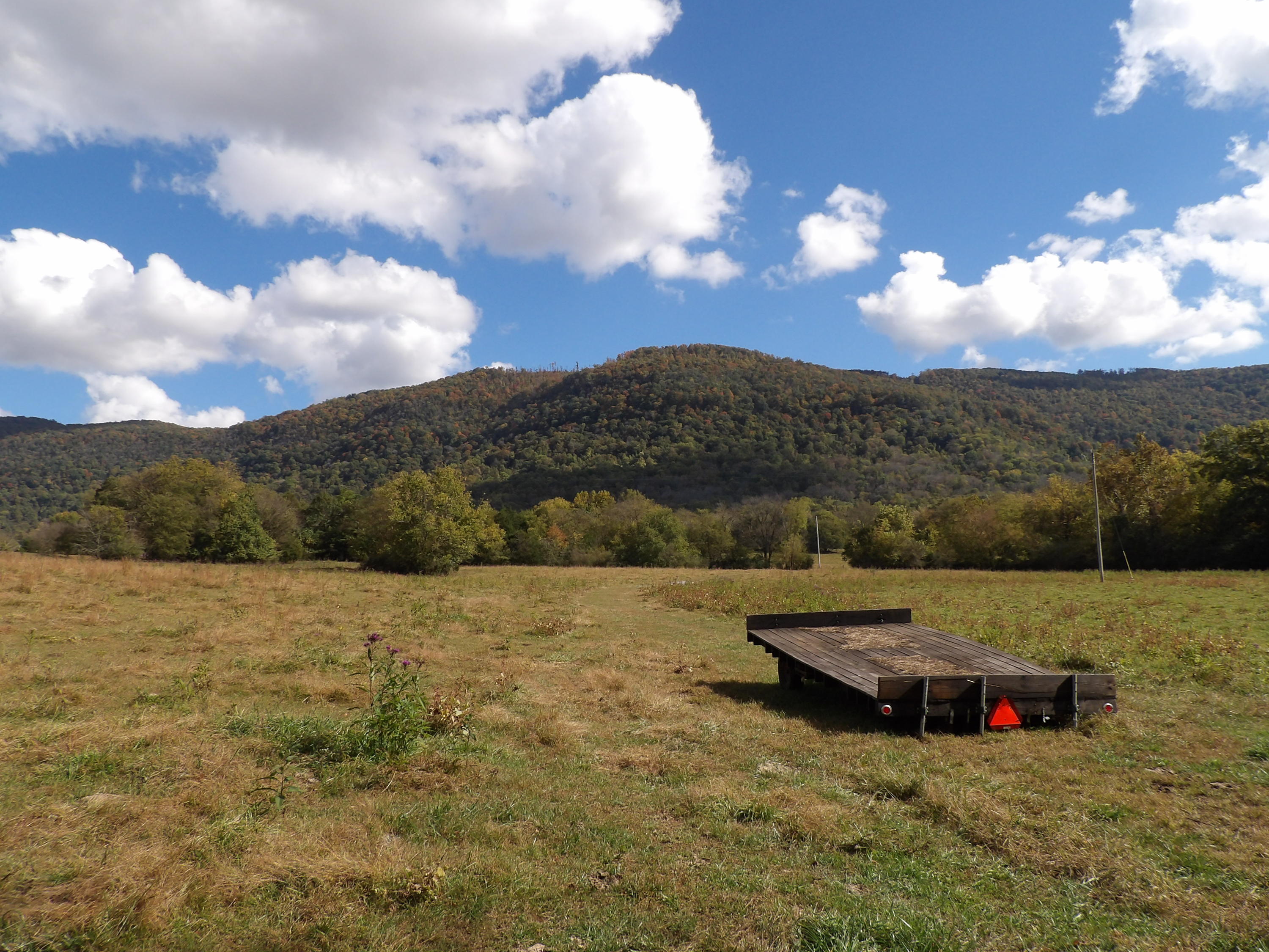 10100 East Valley Road, Unit UPPR EAST Pikeville, TN 37367 - Photo 33 of 68 100_1518