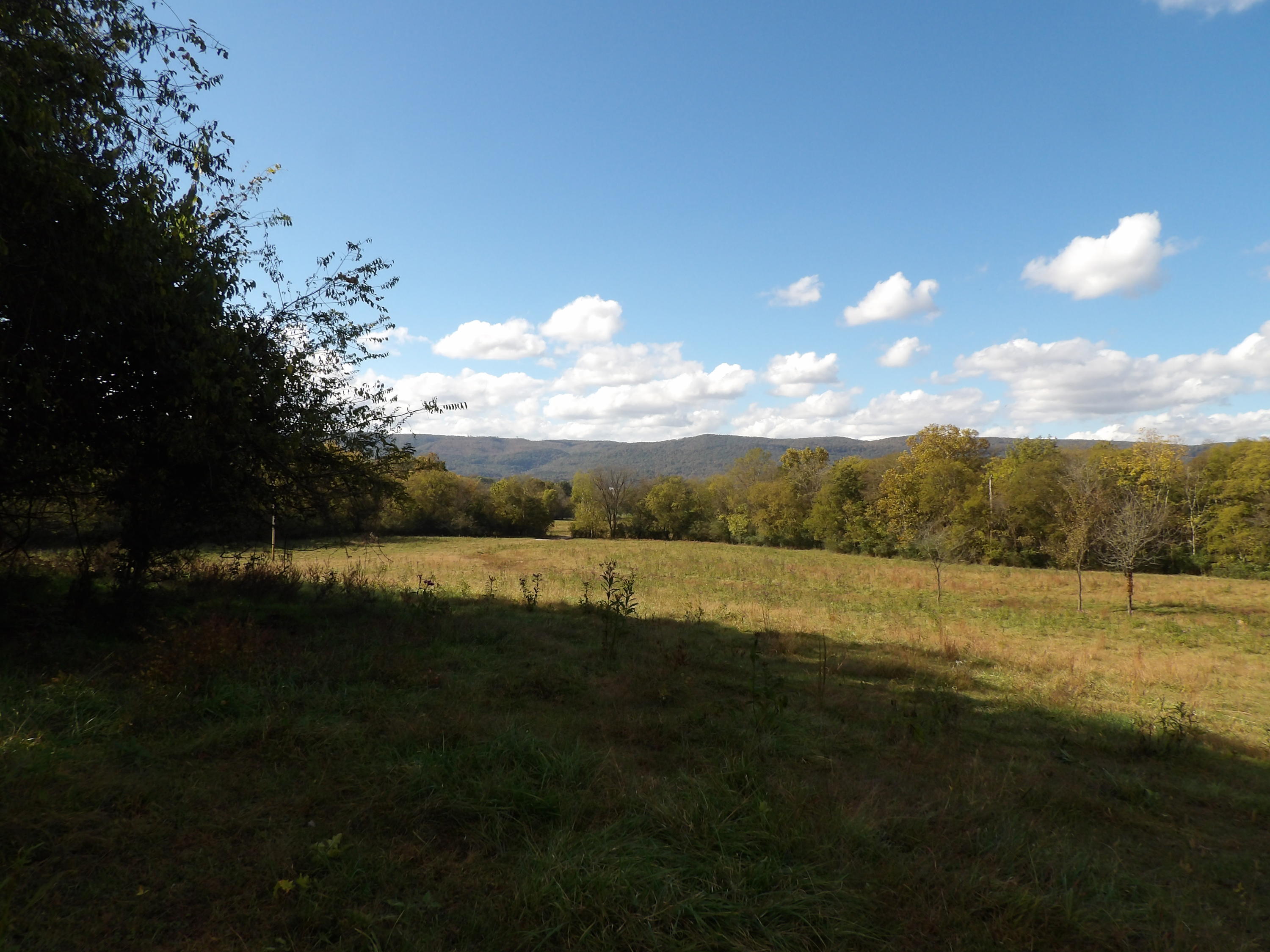 10100 East Valley Road, Unit UPPR EAST Pikeville, TN 37367 - Photo 34 of 68 100_1538