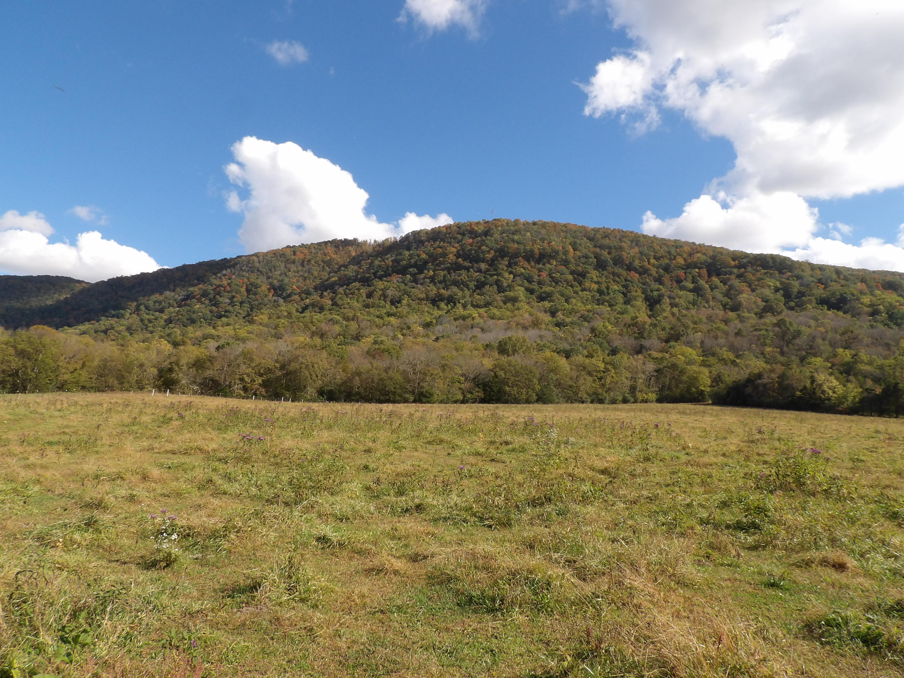 10100 East Valley Road, Unit UPPR EAST Pikeville, TN 37367 - Photo 35 of 68 100_1539