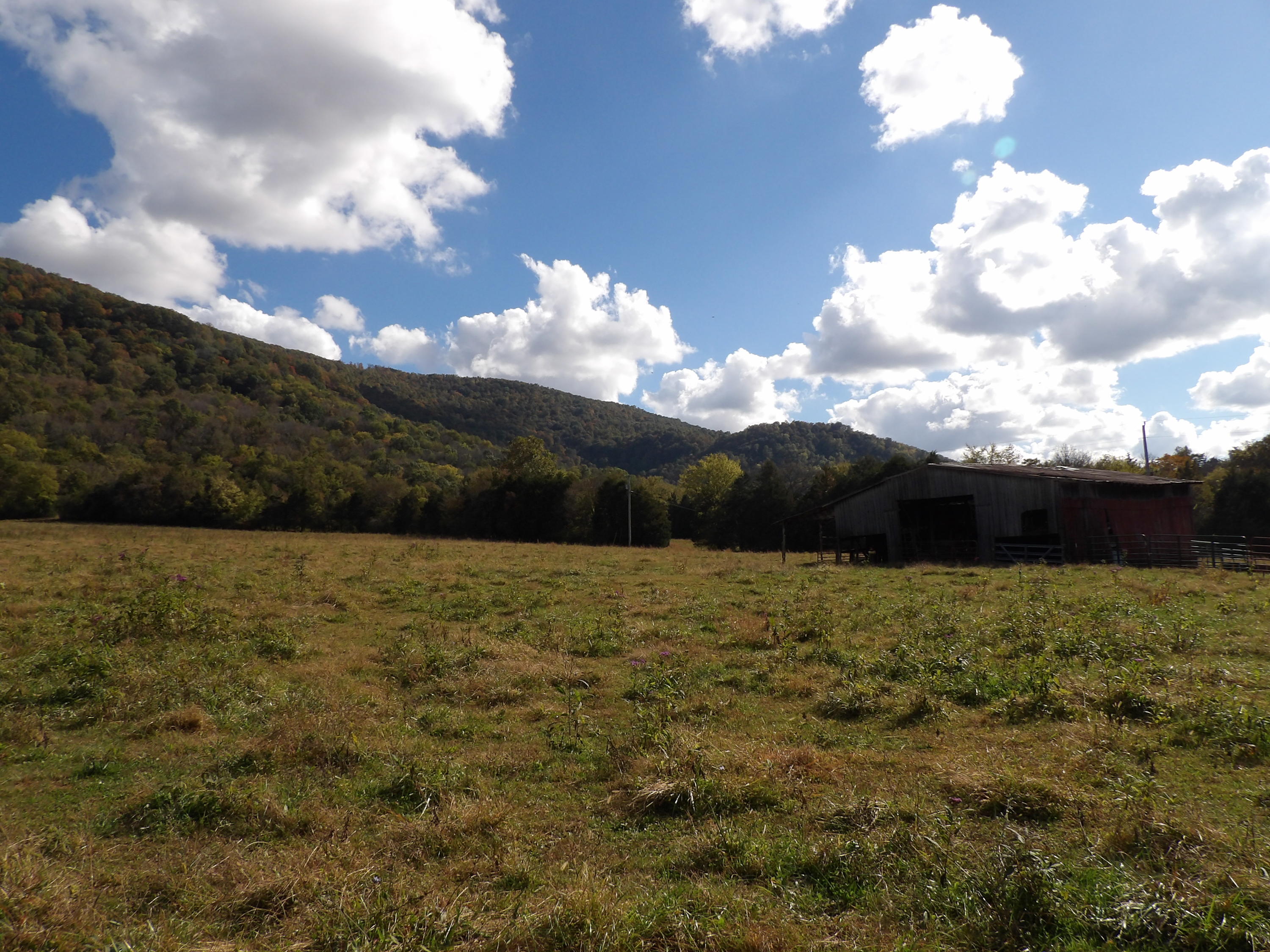 10100 East Valley Road, Unit UPPR EAST Pikeville, TN 37367 - Photo 36 of 68 100_1540