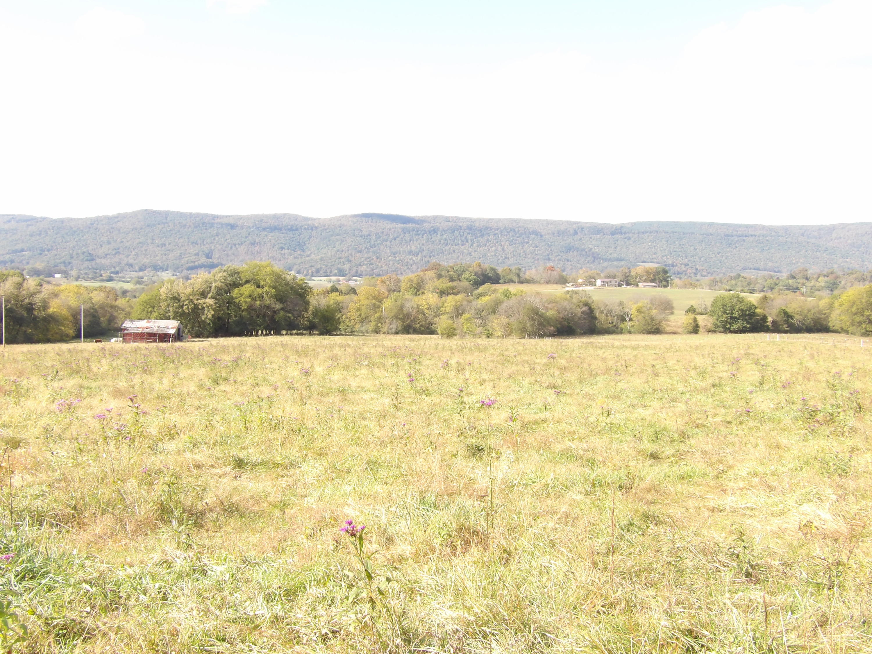 10100 East Valley Road, Unit UPPR EAST Pikeville, TN 37367 - Photo 38 of 68 100_1546