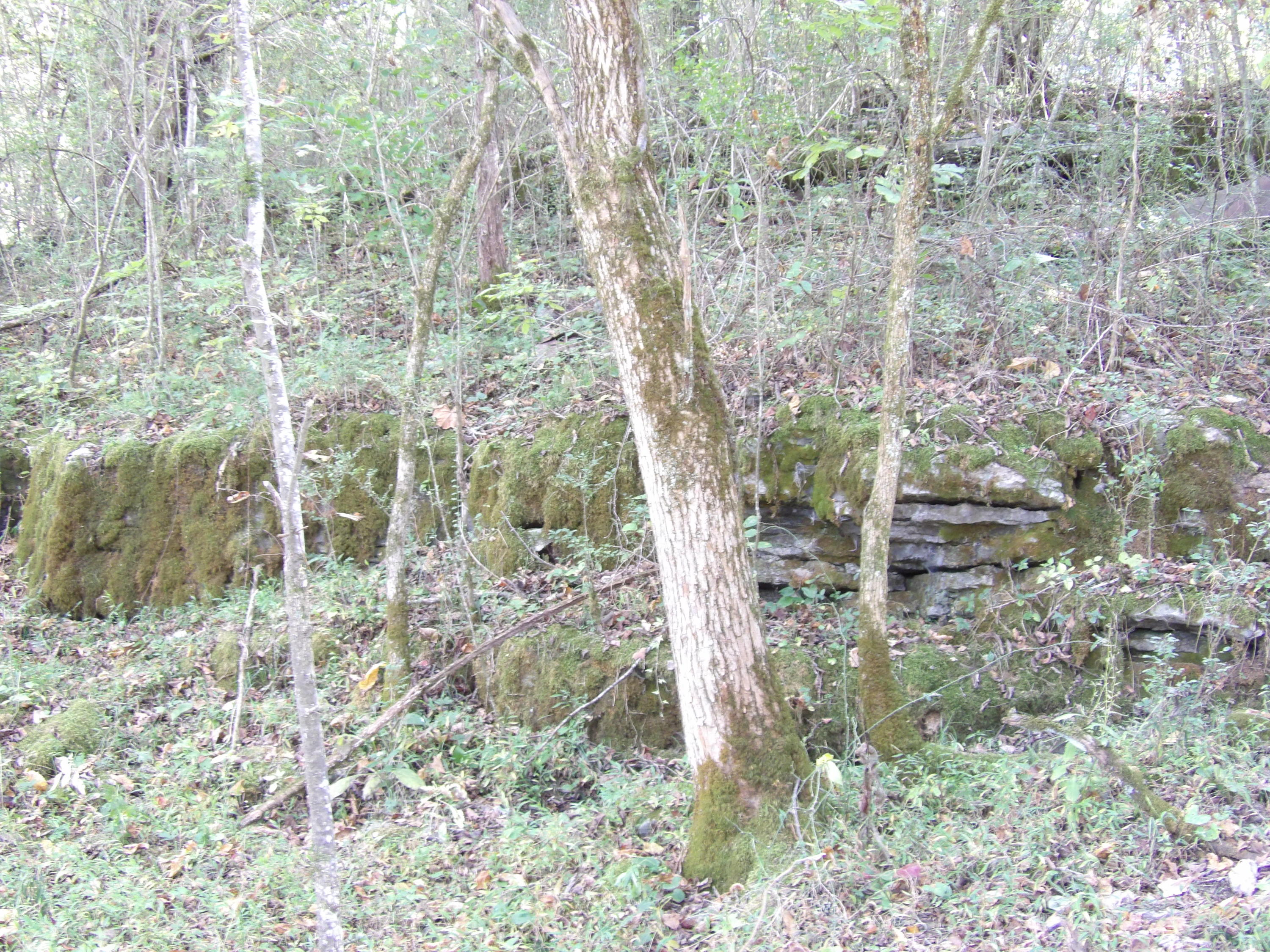 10100 East Valley Road, Unit UPPR EAST Pikeville, TN 37367 - Photo 42 of 68 100_1522