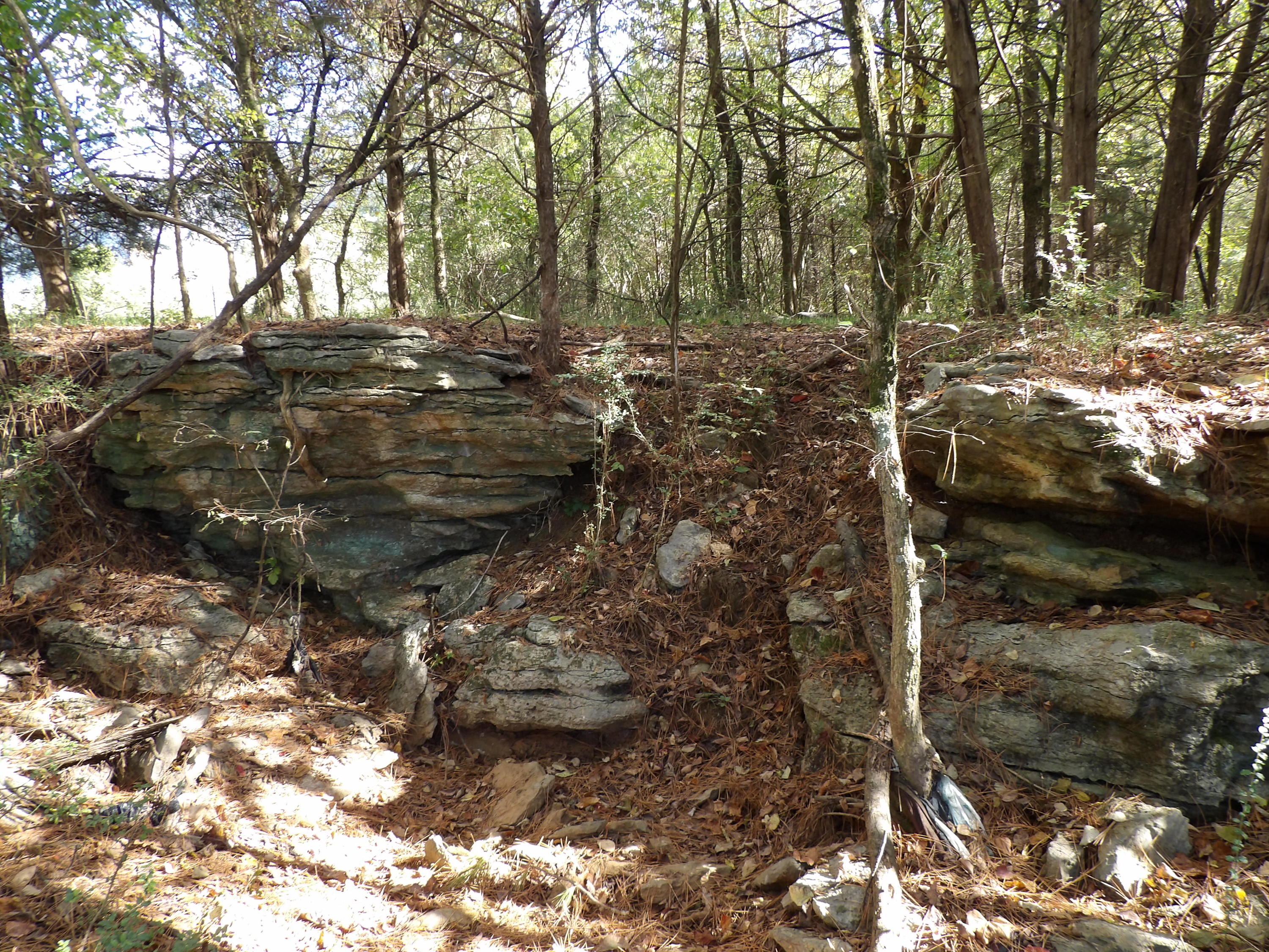 10100 East Valley Road, Unit UPPR EAST Pikeville, TN 37367 - Photo 45 of 68 100_1526