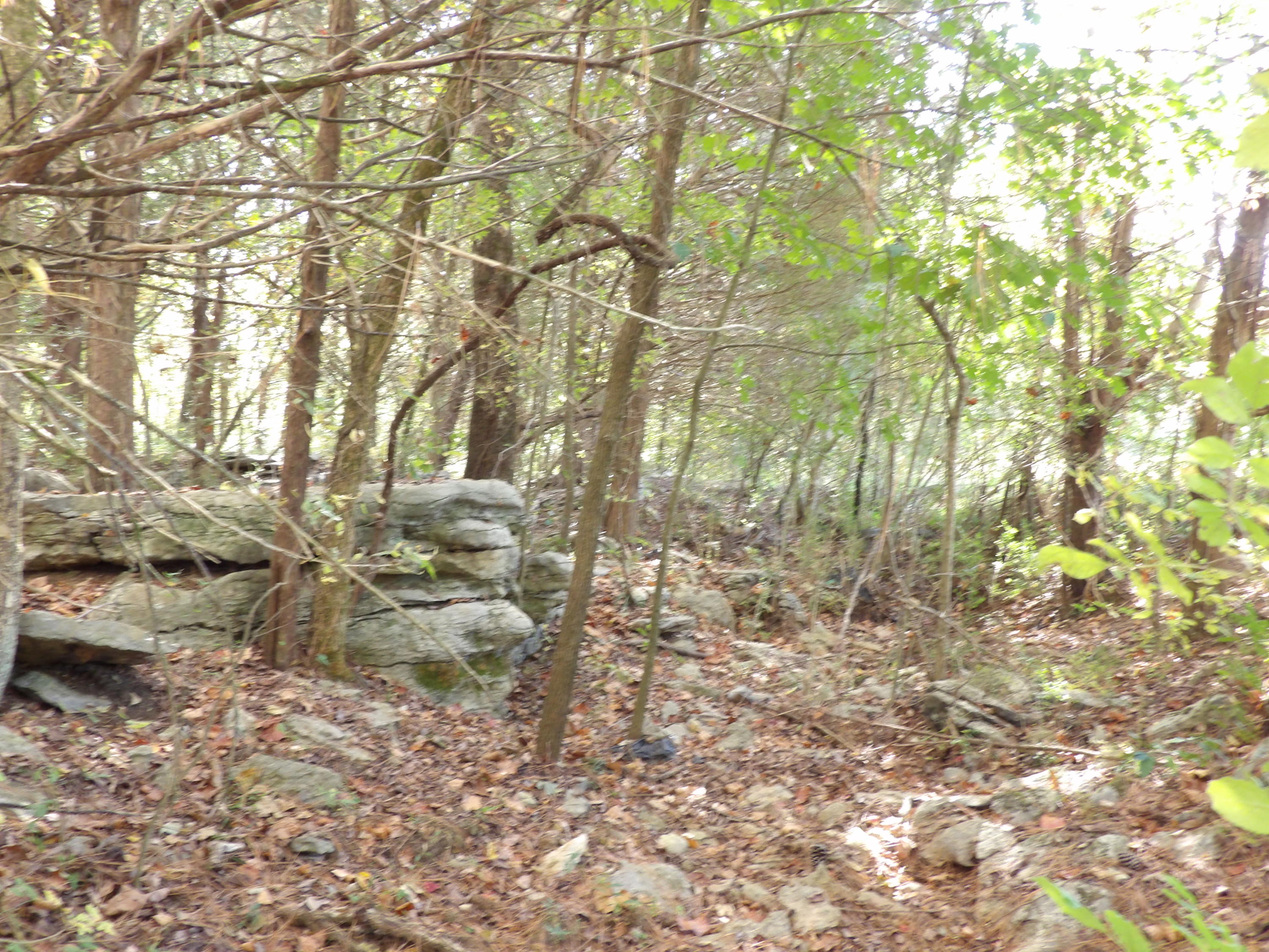 10100 East Valley Road, Unit UPPR EAST Pikeville, TN 37367 - Photo 46 of 68 100_1527
