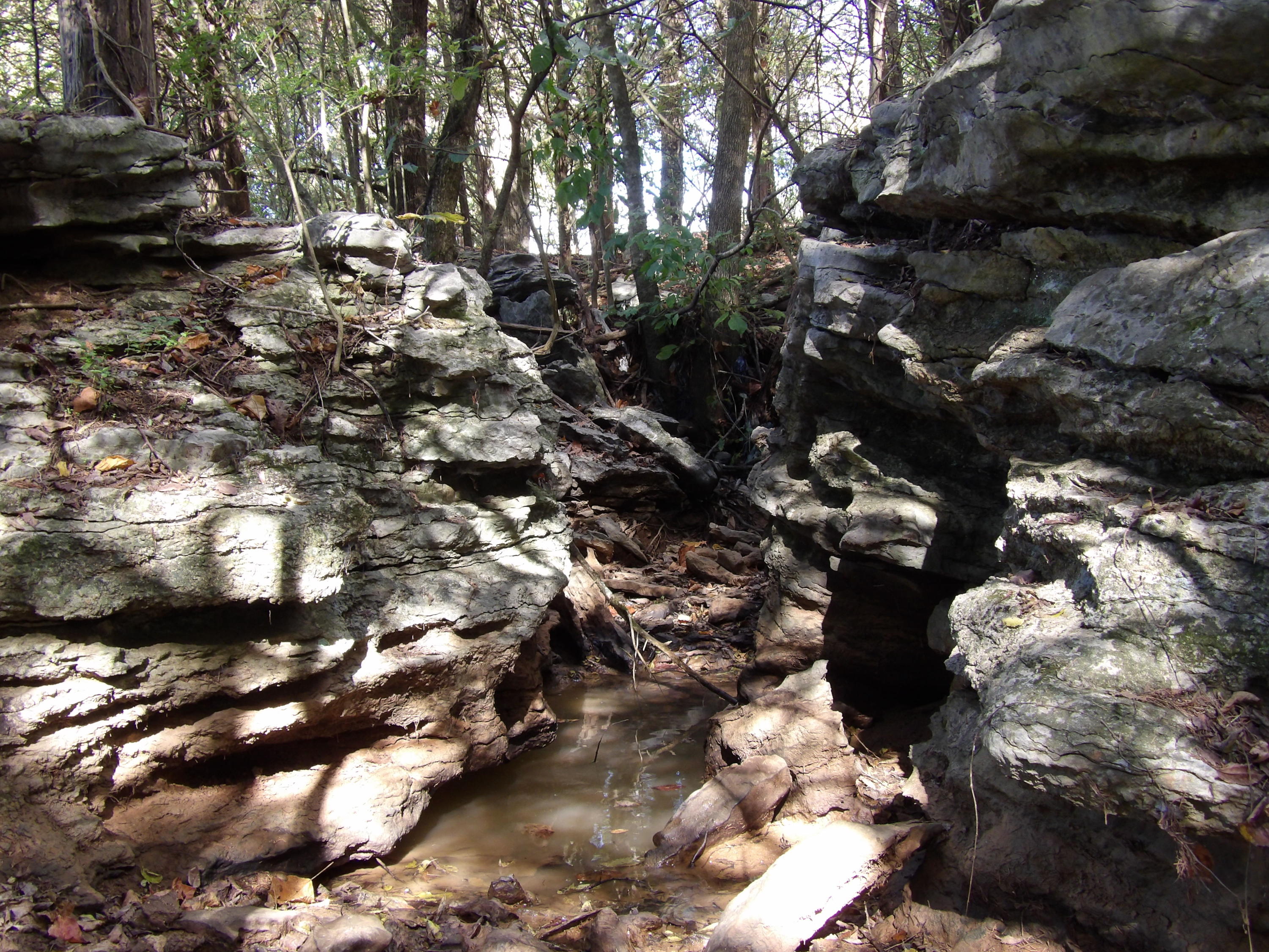 10100 East Valley Road, Unit UPPR EAST Pikeville, TN 37367 - Photo 47 of 68 100_1528