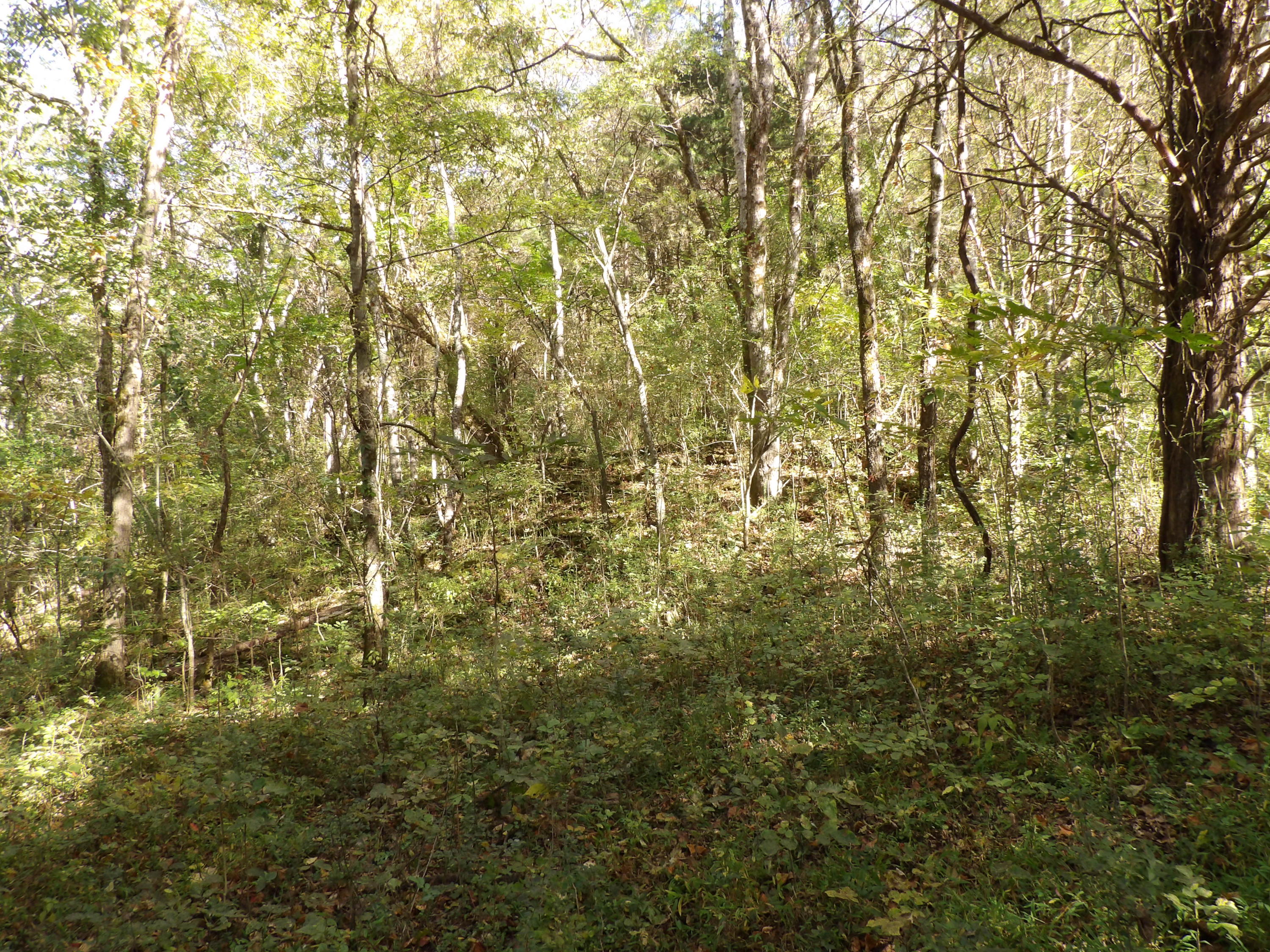 10100 East Valley Road, Unit UPPR EAST Pikeville, TN 37367 - Photo 56 of 68 100_1547