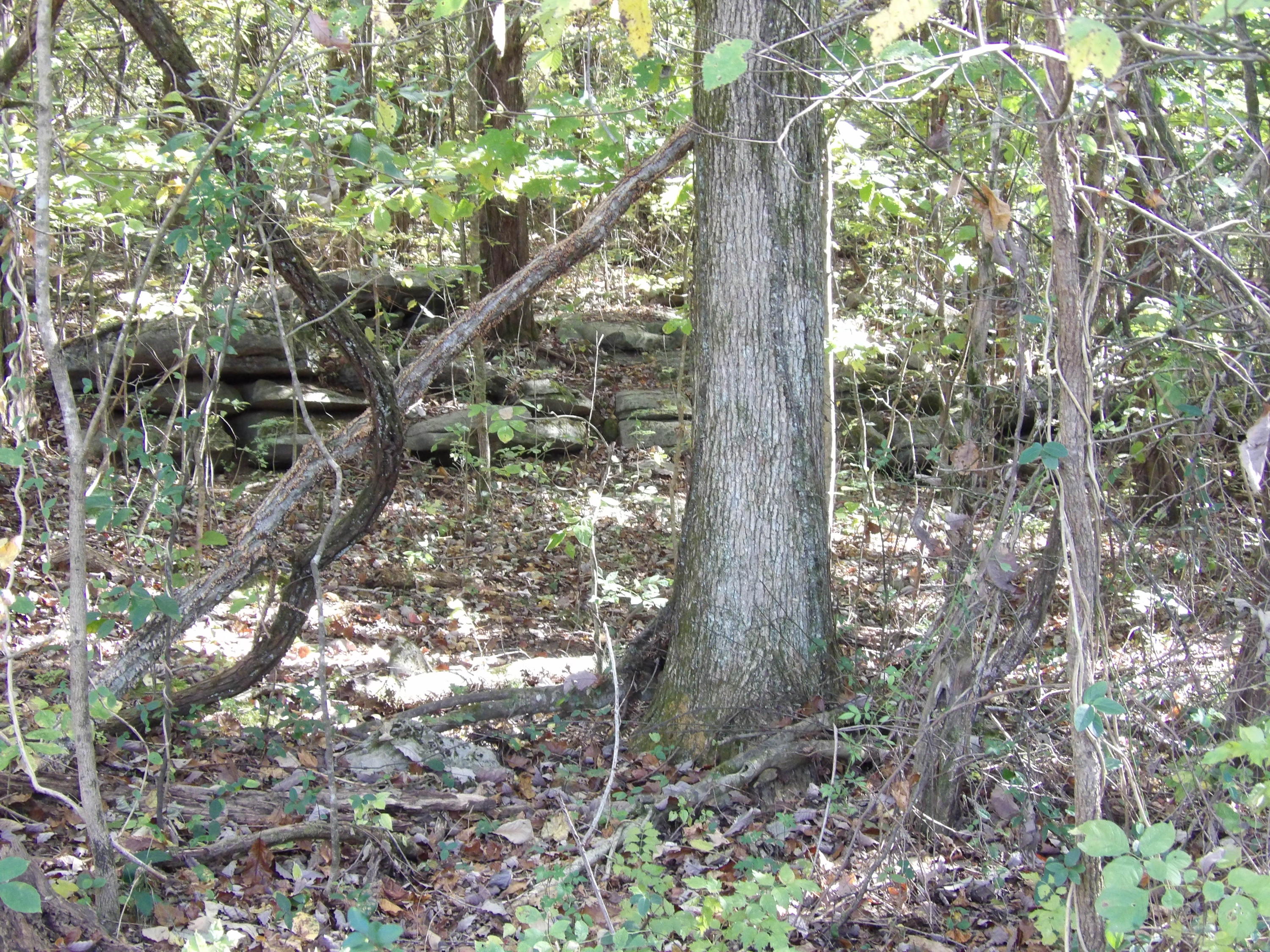 10100 East Valley Road, Unit UPPR EAST Pikeville, TN 37367 - Photo 60 of 68 100_1551