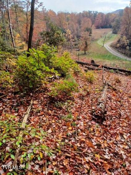 Tbd Tbd Fire Station Road, Unit 68 Johnson City, TN 37601 - Photo 2 of 4 image000002 (1)
