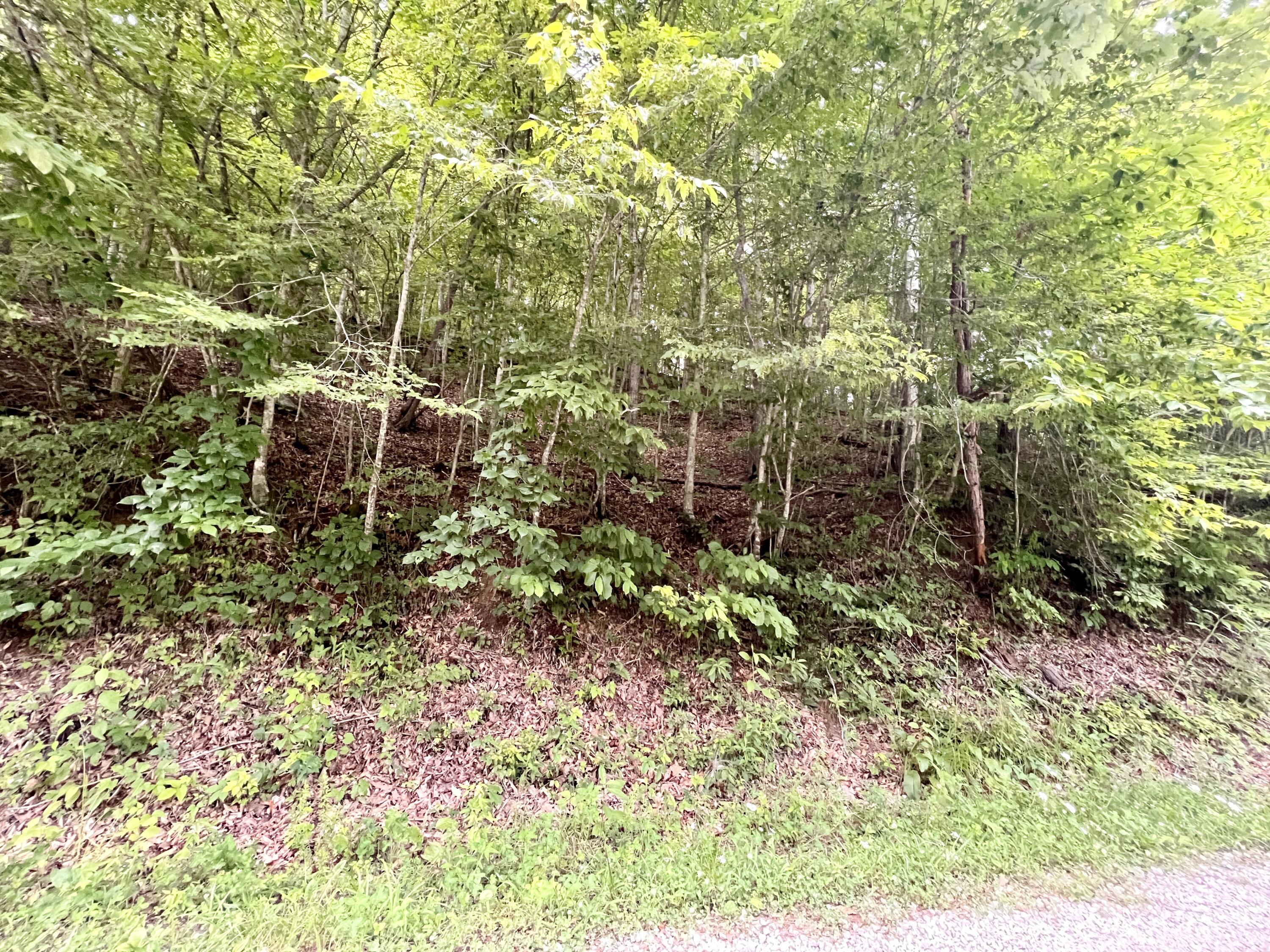 0 Fannin-Roscoe Road Sandy Hook, KY 41171 - Photo 10 of 15 IMG_9207