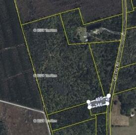 0 Can City Walterboro, SC 29488 - Photo 4 of 4 Screenshot_22-7-2024_132938_