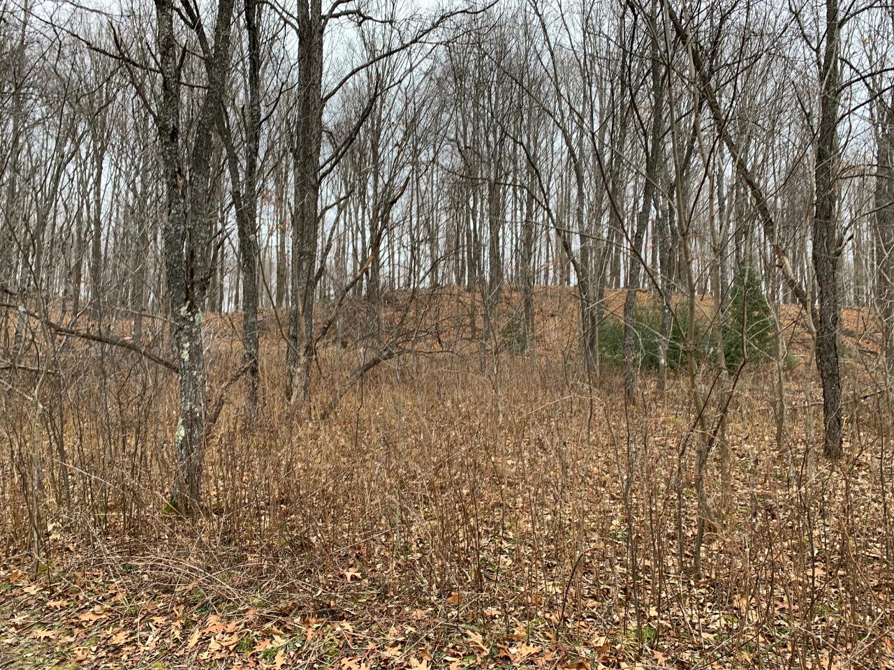 On Forest Road Deerbrook, WI 54424 - Photo 29 of 31 Gallery Image 29