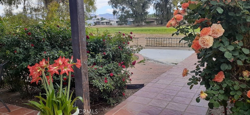 1484 Pepper Tree Drive Hemet, CA 92545 - Photo 25 of 29 Beautiful backyard faced golf course