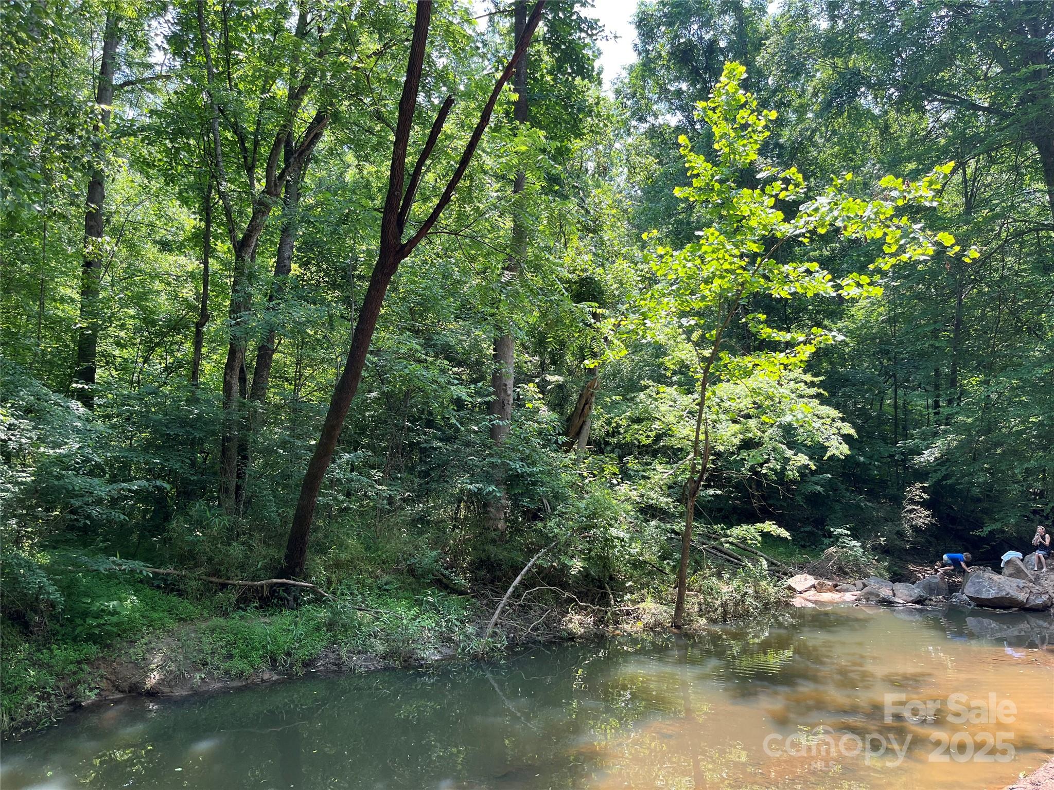 0 Oakridge Road Clover, SC 29710 - Photo 2 of 3