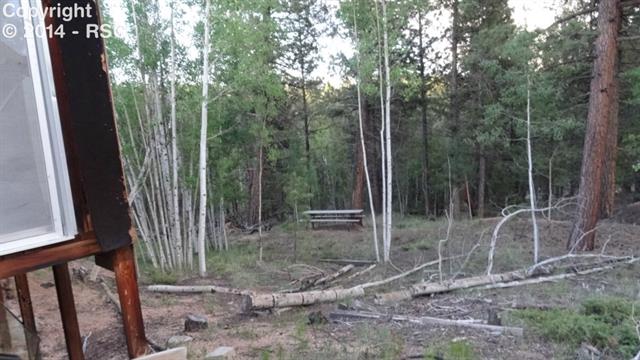 1379 Rangeview Road Divide, CO 80814 - Photo 5 of 10 Gallery Image 5