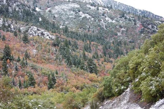 East Bald Mountain Road Stockton, UT 84071 - Photo 17 of 17 image000000
