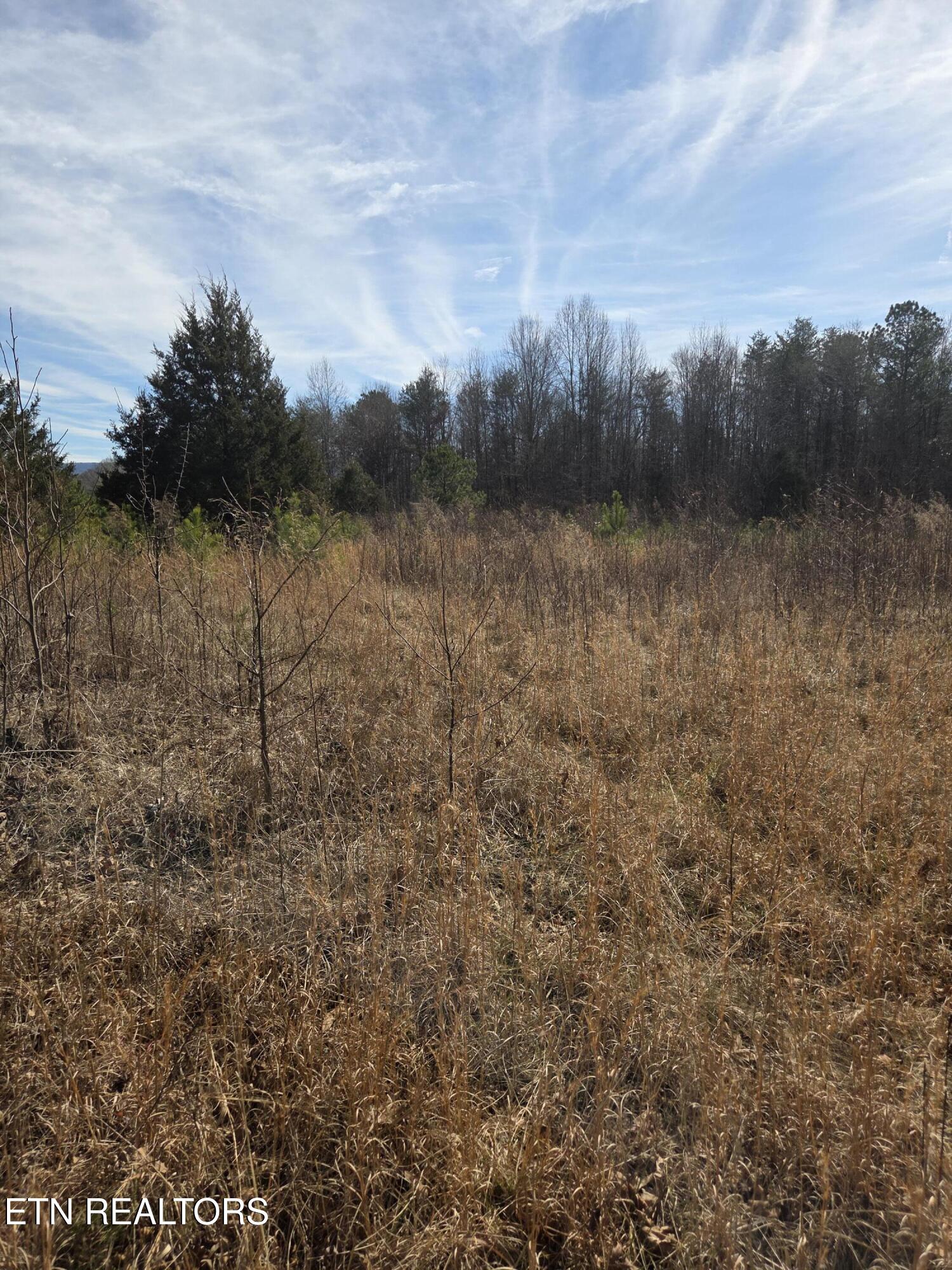 660 Co Road Athens, TN 37303 - Photo 3 of 12 clearing