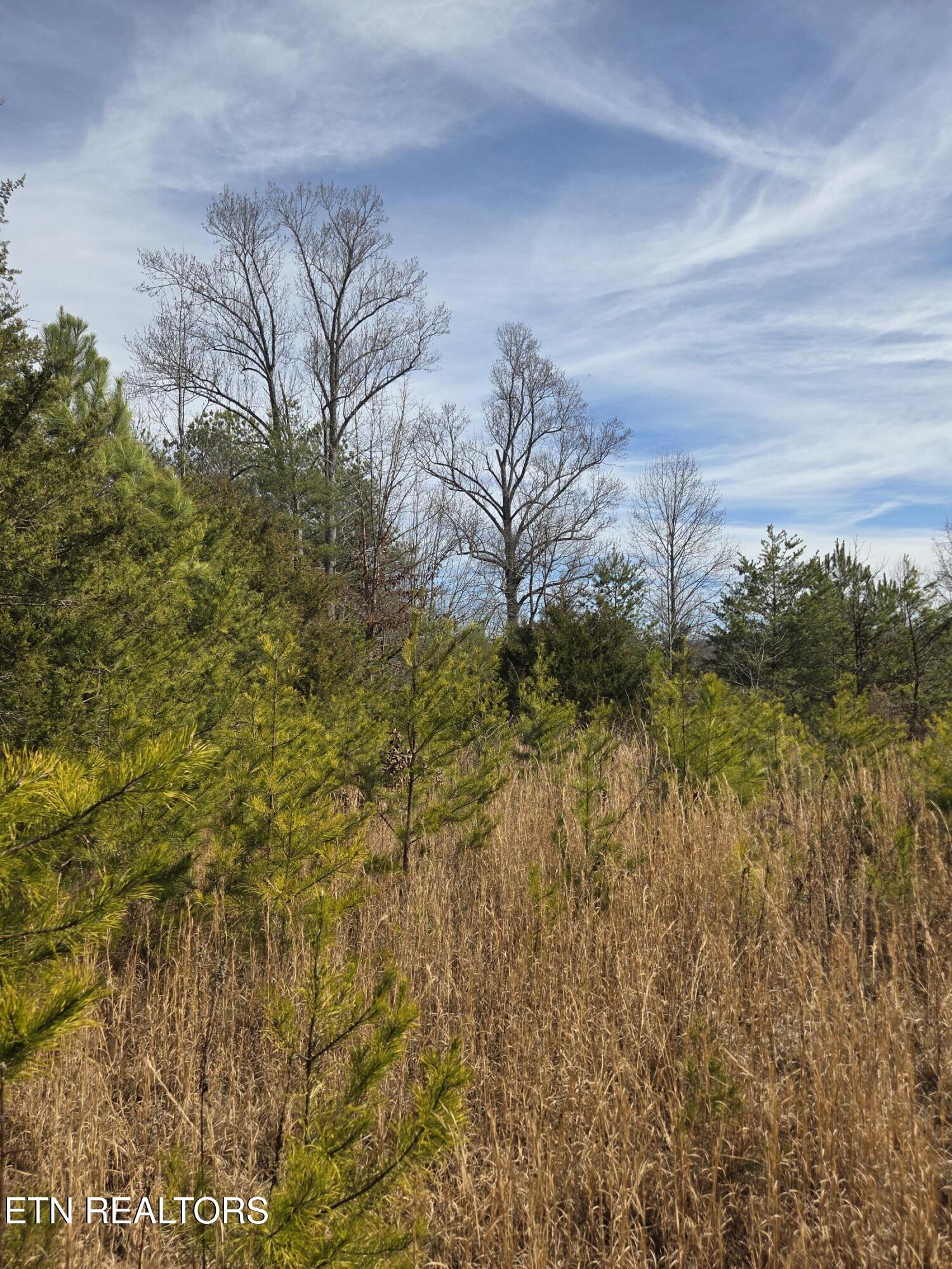 660 Co Road Athens, TN 37303 - Photo 4 of 12 clearing