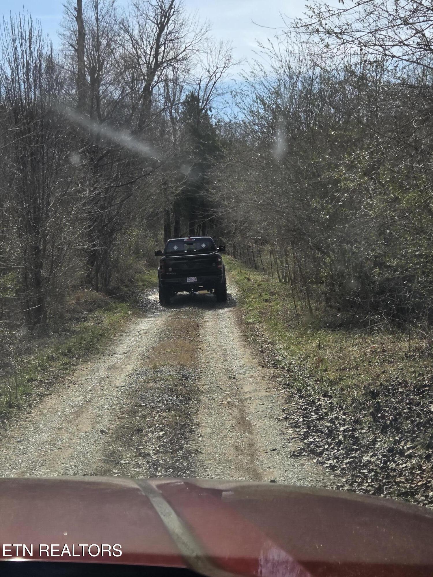 660 Co Road Athens, TN 37303 - Photo 6 of 12 Gravel Driveway in