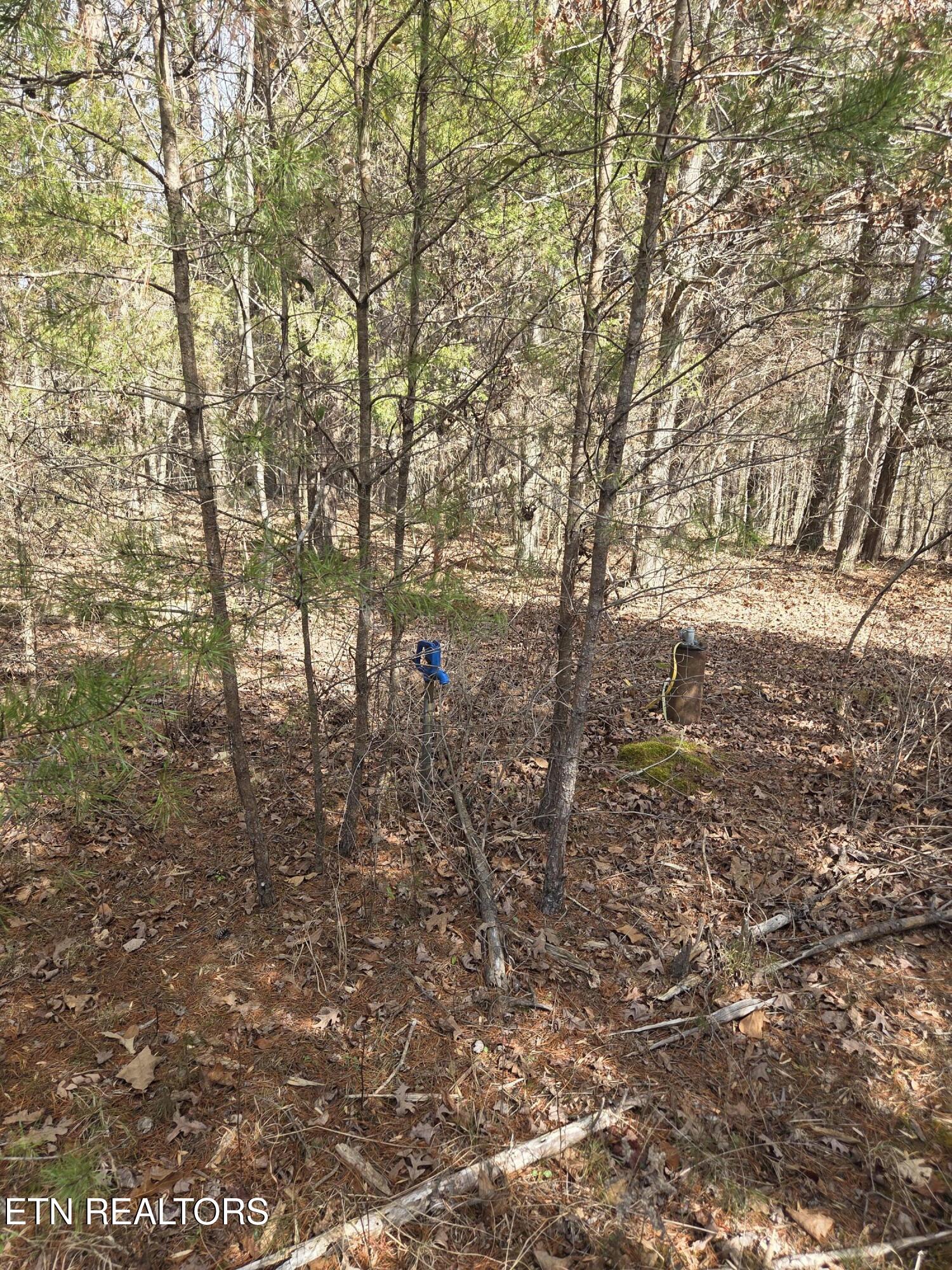 660 Co Road Athens, TN 37303 - Photo 8 of 12 Well head