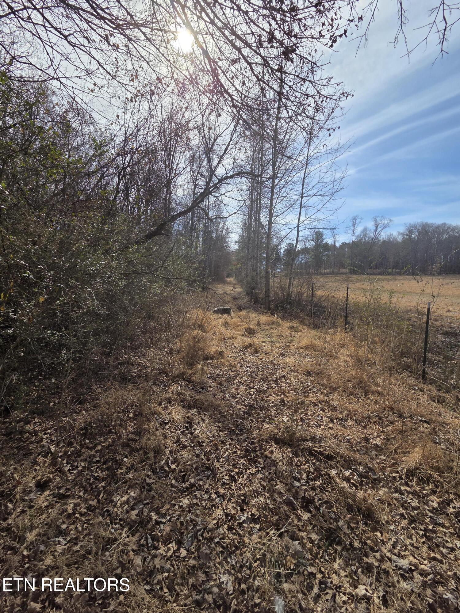 660 Co Road Athens, TN 37303 - Photo 10 of 12 driveway
