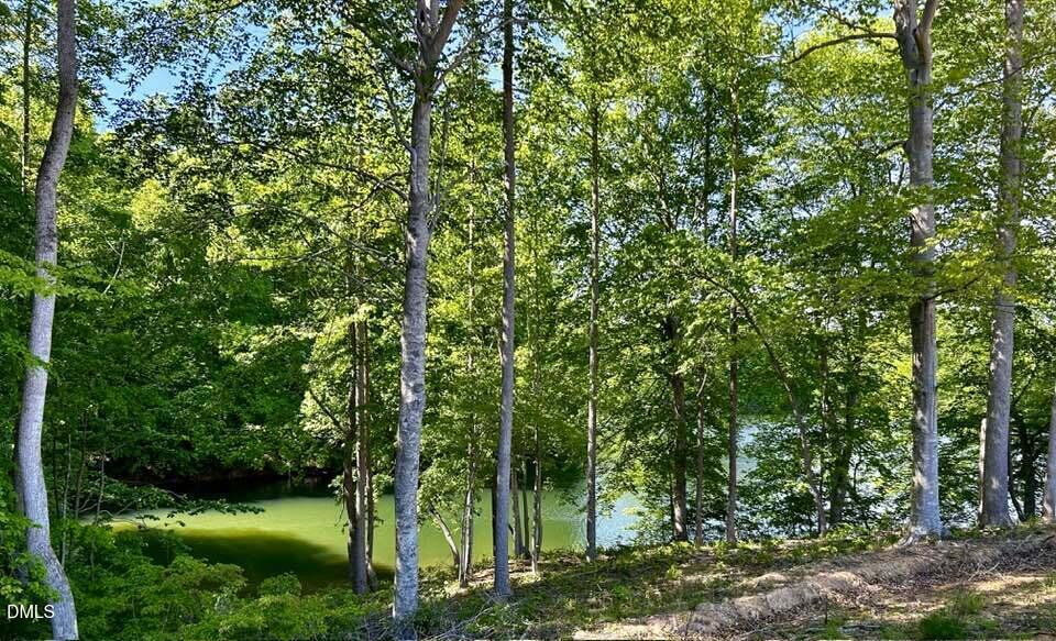 215 Dean Lane Roxboro, NC 27574 - Photo 6 of 11 679853187_3398087857035548_5798371634489