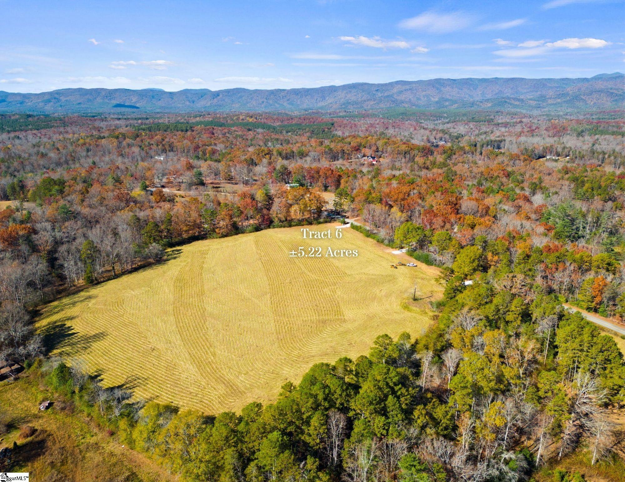 0 Whitmire Church Road, Unit LOT 6 Tamassee, SC 29686 - Photo 5 of 7 Gallery Image 5