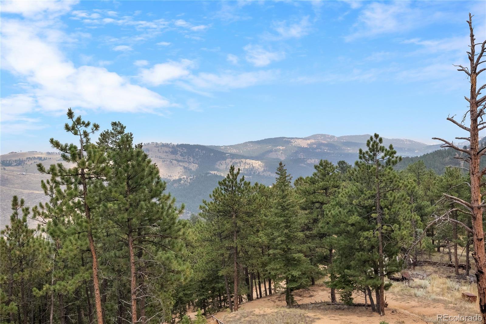 a view of a city with tall trees