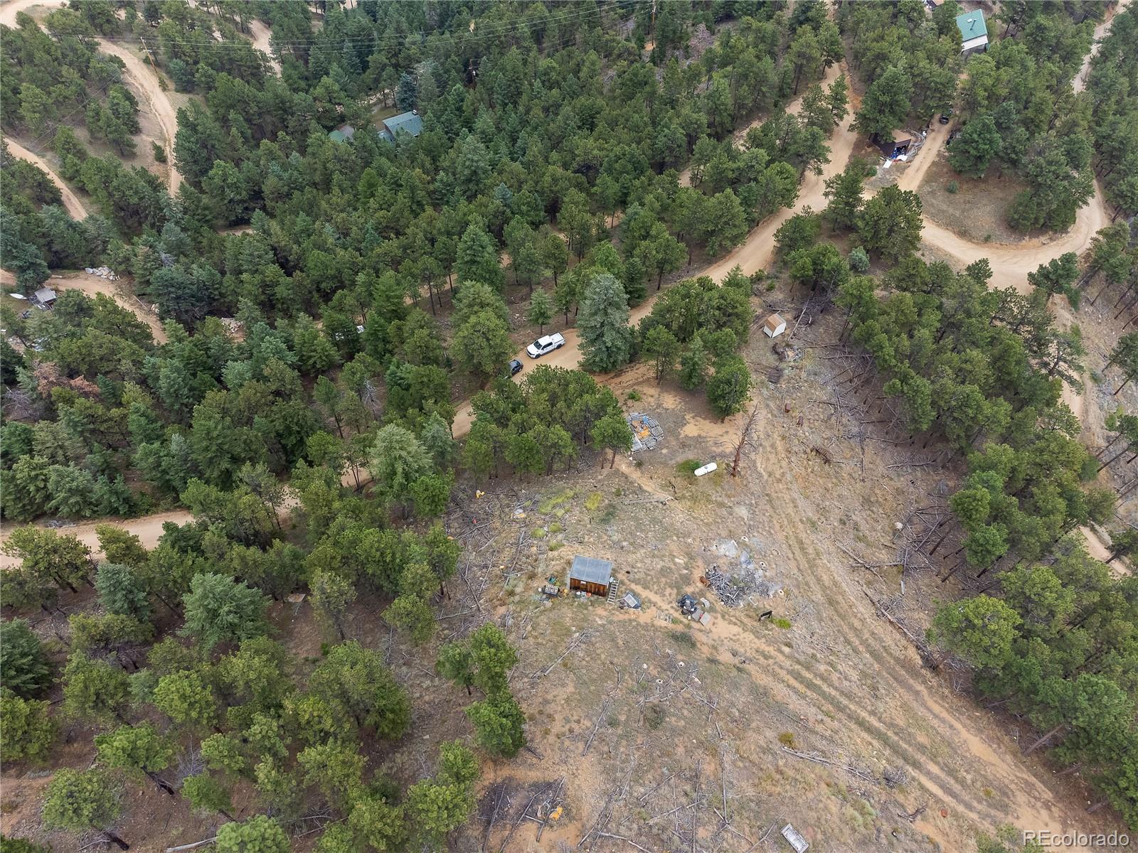 601 Escape Route Boulder, CO 80302 - Photo 12 of 17 a view of a forest with a tree