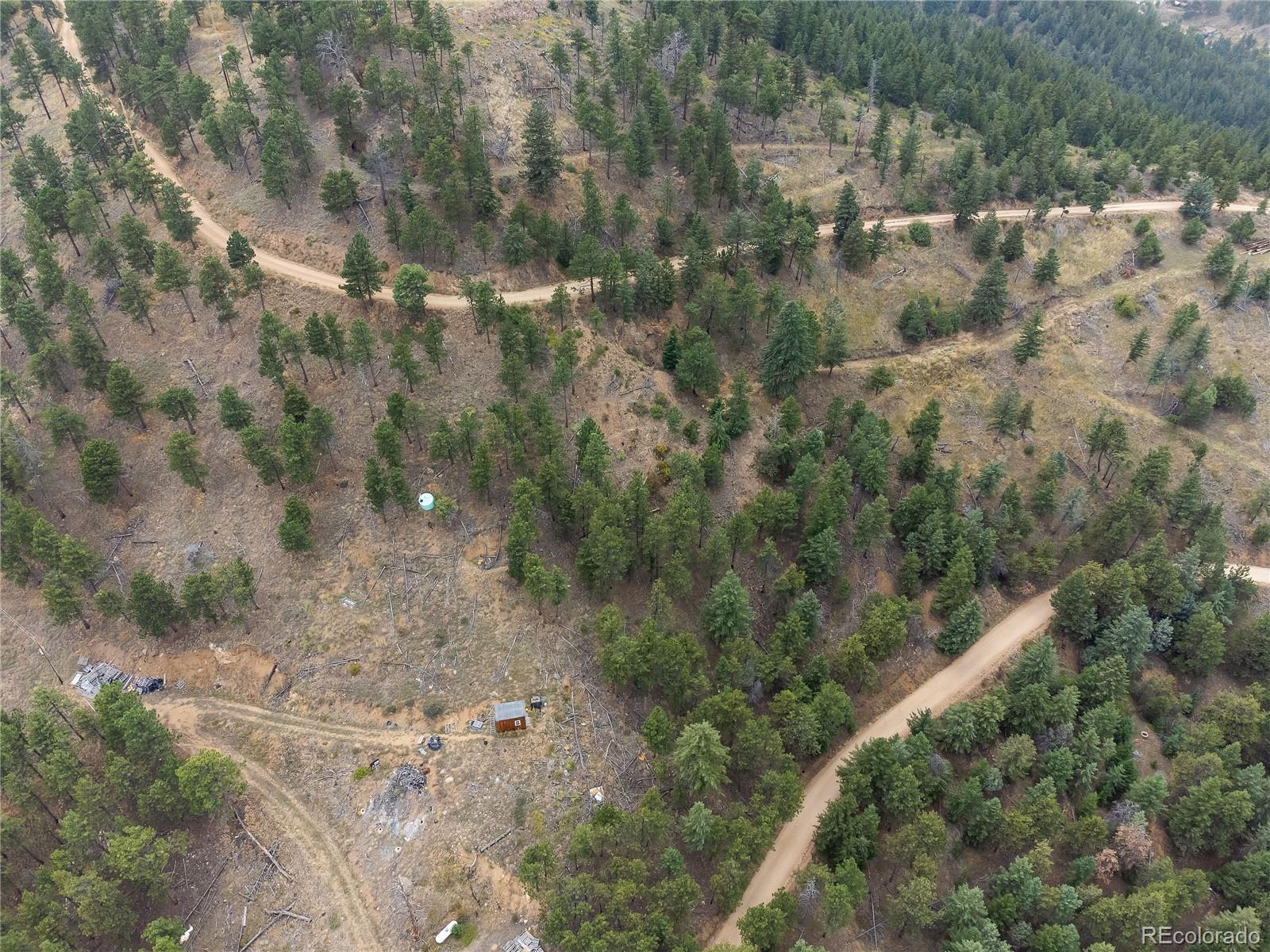 601 Escape Route Boulder, CO 80302 - Photo 17 of 17 a view of a yard with trees in background