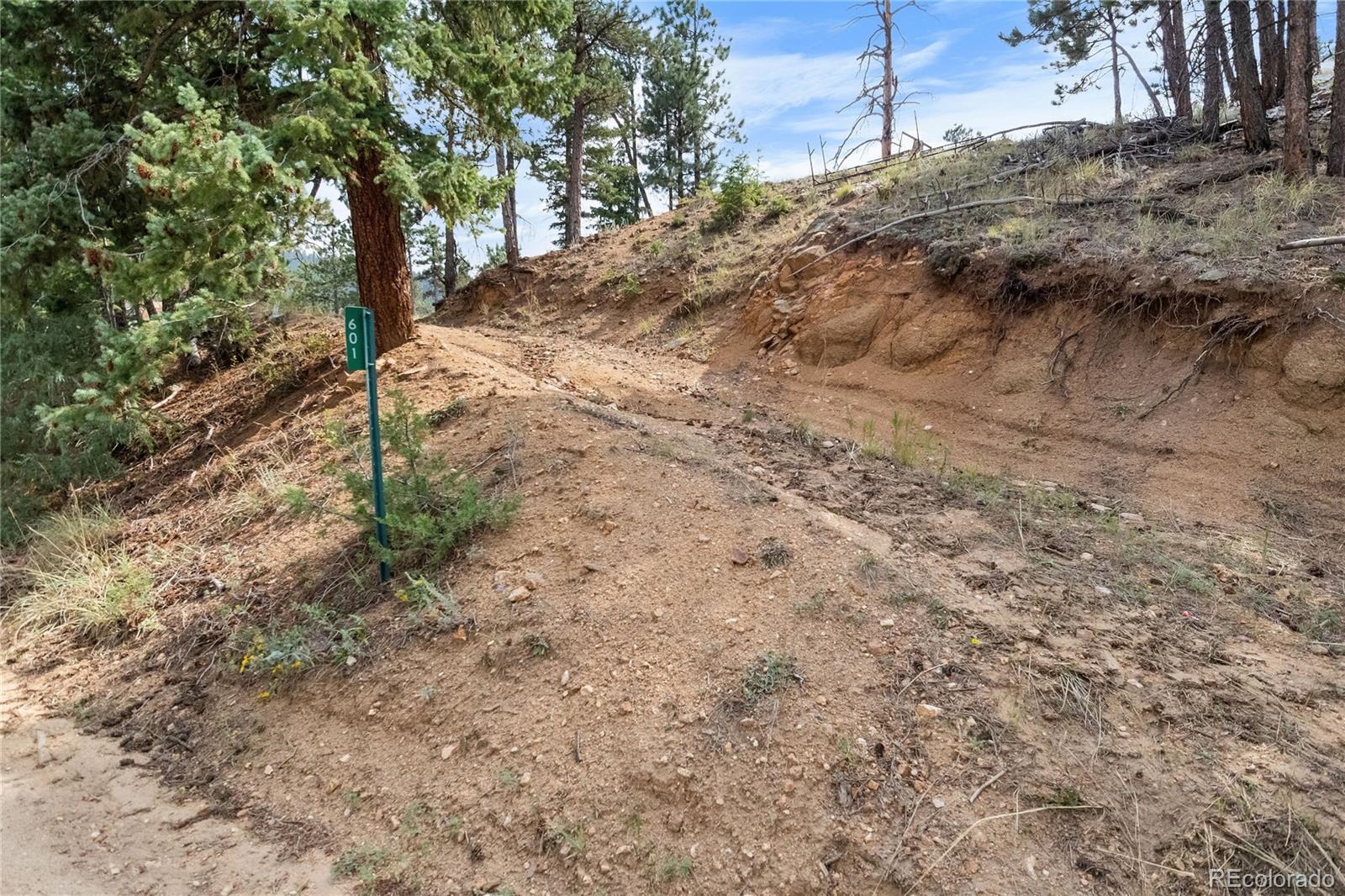 601 Escape Route Boulder, CO 80302 - Photo 4 of 17 a view of a yard with plants and trees