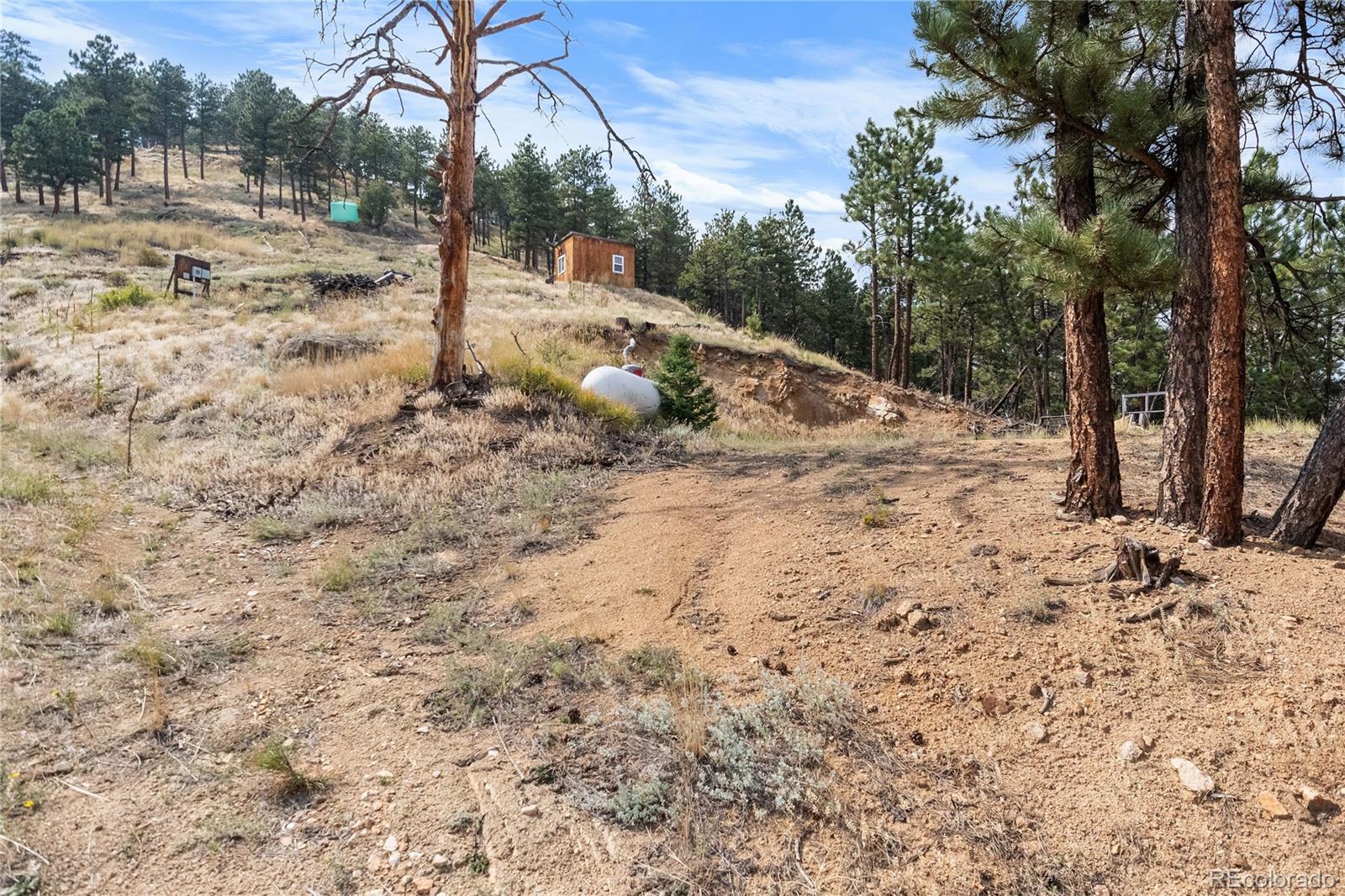 601 Escape Route Boulder, CO 80302 - Photo 5 of 17 a view of a yard with a tree