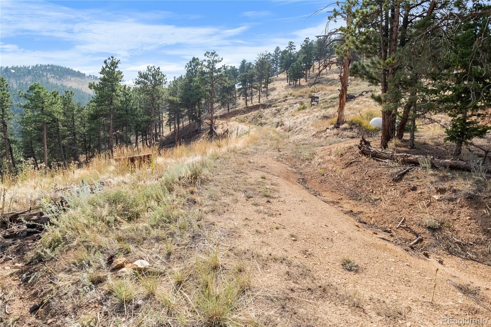 601 Escape Route Boulder, CO 80302 - Photo 6 of 17 a view of a forest with trees in the background