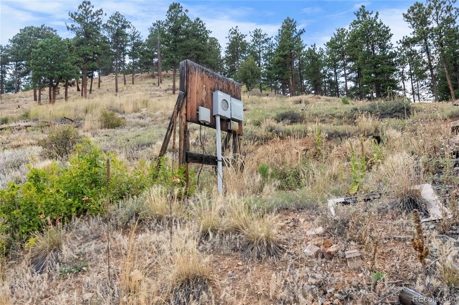 601 Escape Route Boulder, CO 80302 - Photo 7 of 17 a view of a yard in front of a house with a large tree