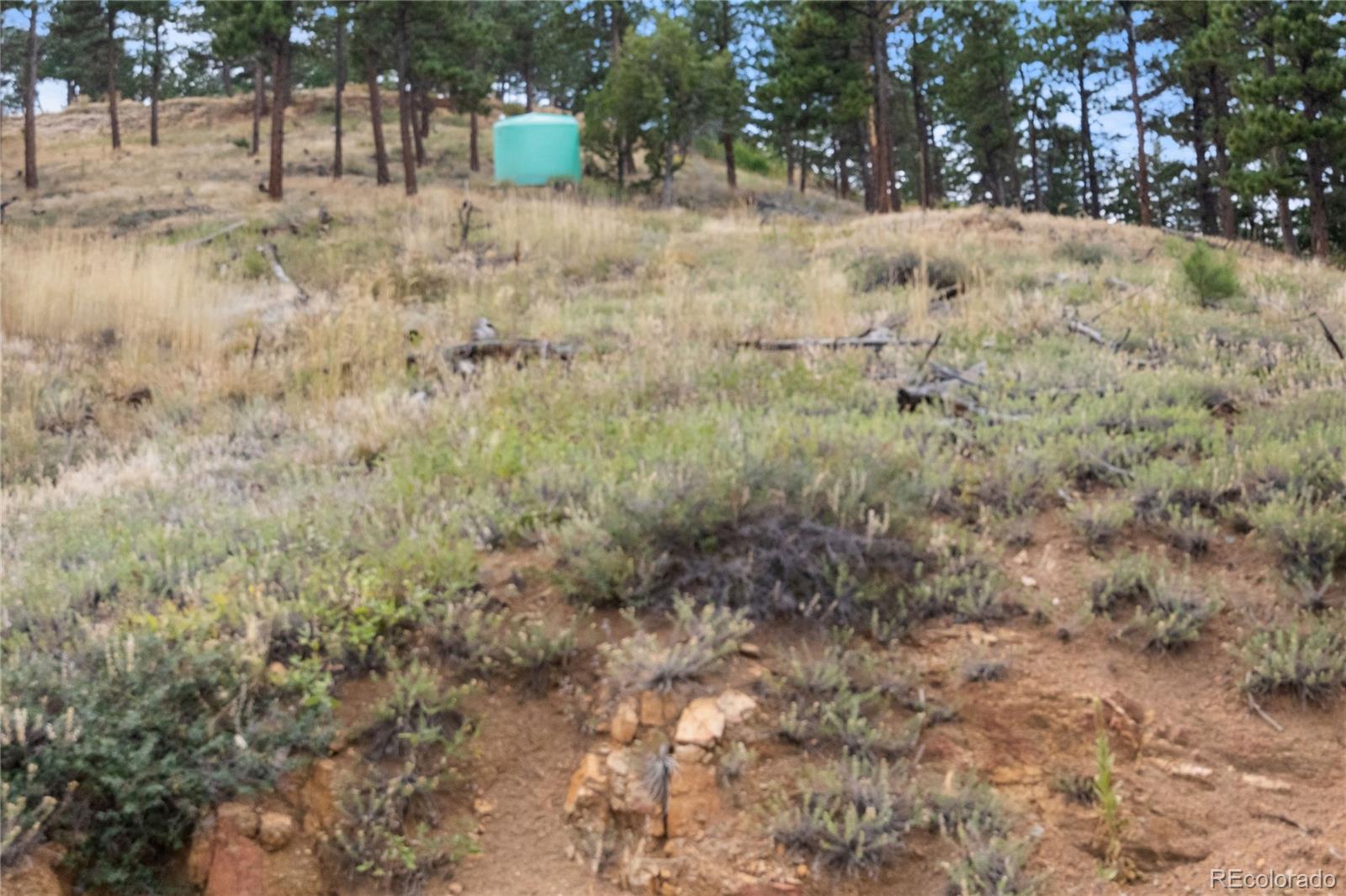 601 Escape Route Boulder, CO 80302 - Photo 8 of 17 a view of a yard with a tree