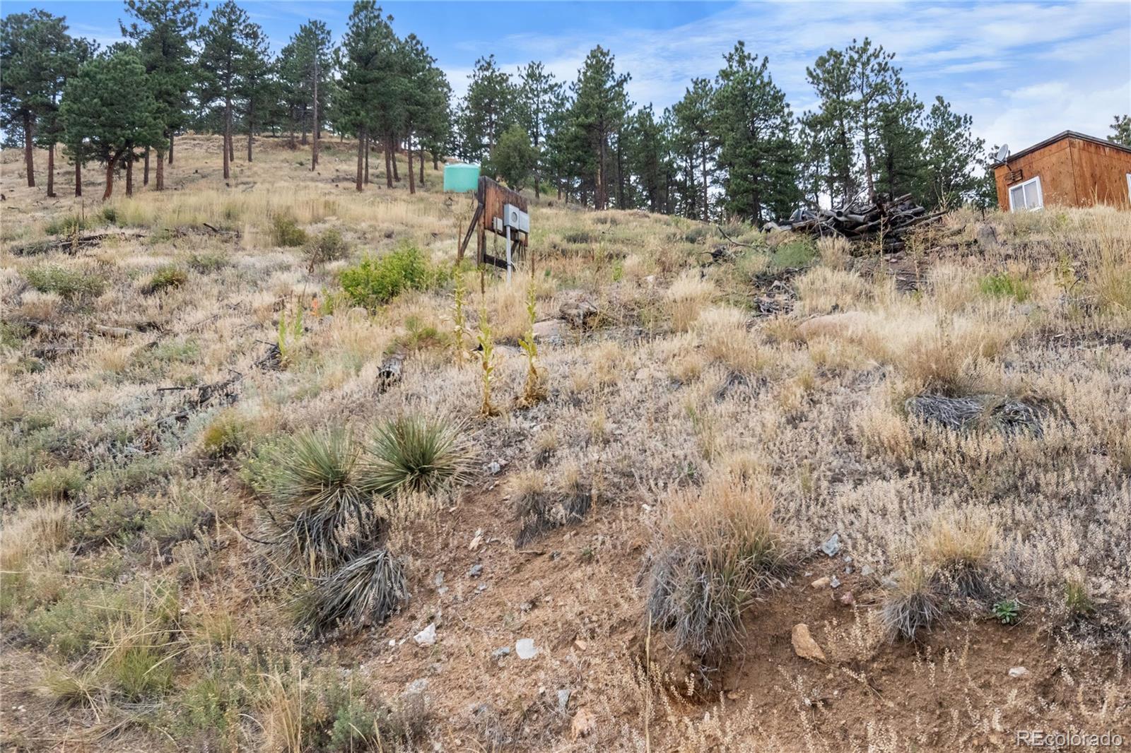 601 Escape Route Boulder, CO 80302 - Photo 10 of 17 a view of a yard with a tree