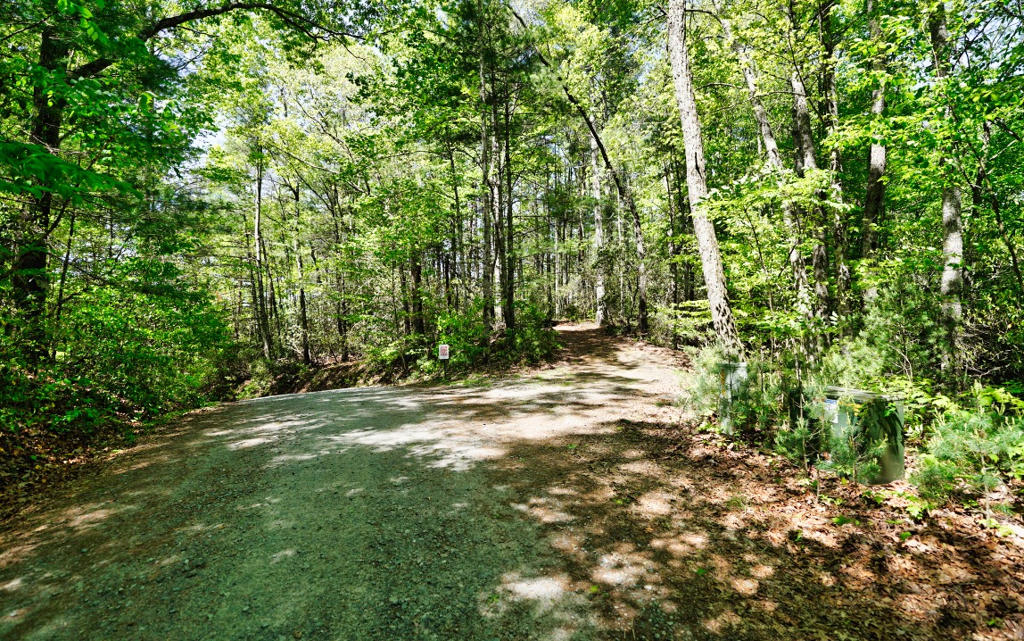 0 Laurel Ridge Road Blue Ridge, GA 30513 - Photo 13 of 23 Additional View