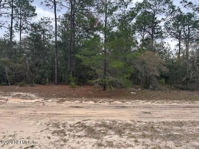 a view of a yard with large trees