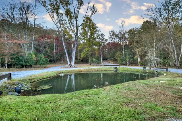 $2,600,000 | 737 Wildwood Terrace, Mineral Bluff, GA 30559