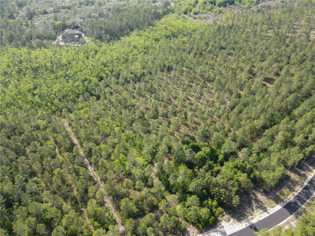 5015 Wood Duck Branch Road Blackshear, GA 31516 - Photo 8 of 12