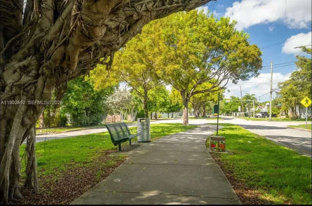 a view of a park with large trees