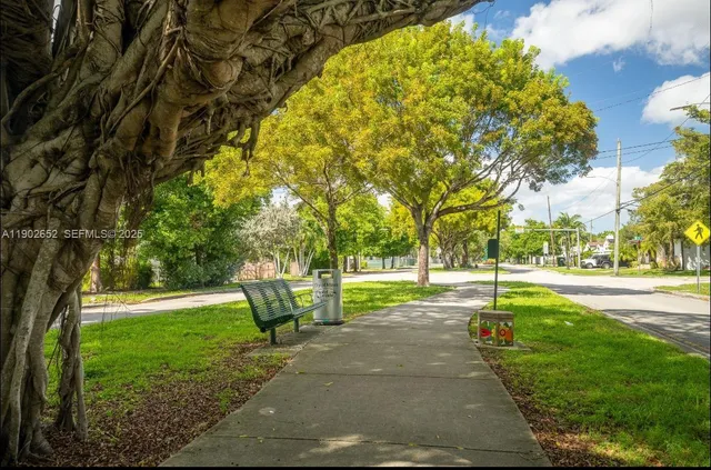 a view of a park with large trees