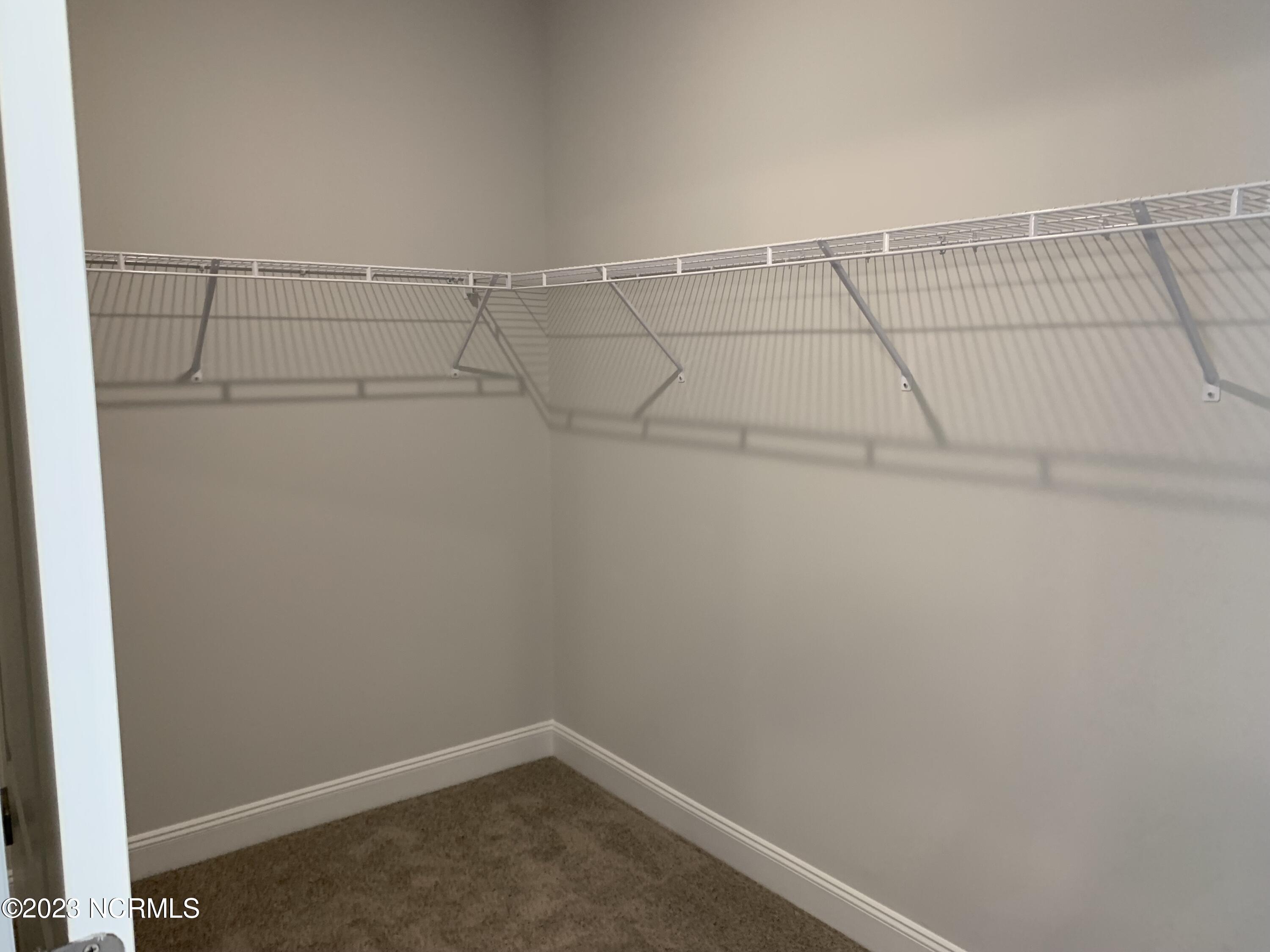 8548 Shallow Crk Trail, Unit 187 Bailey, NC 27807 - Photo 15 of 24 Primary Closet
