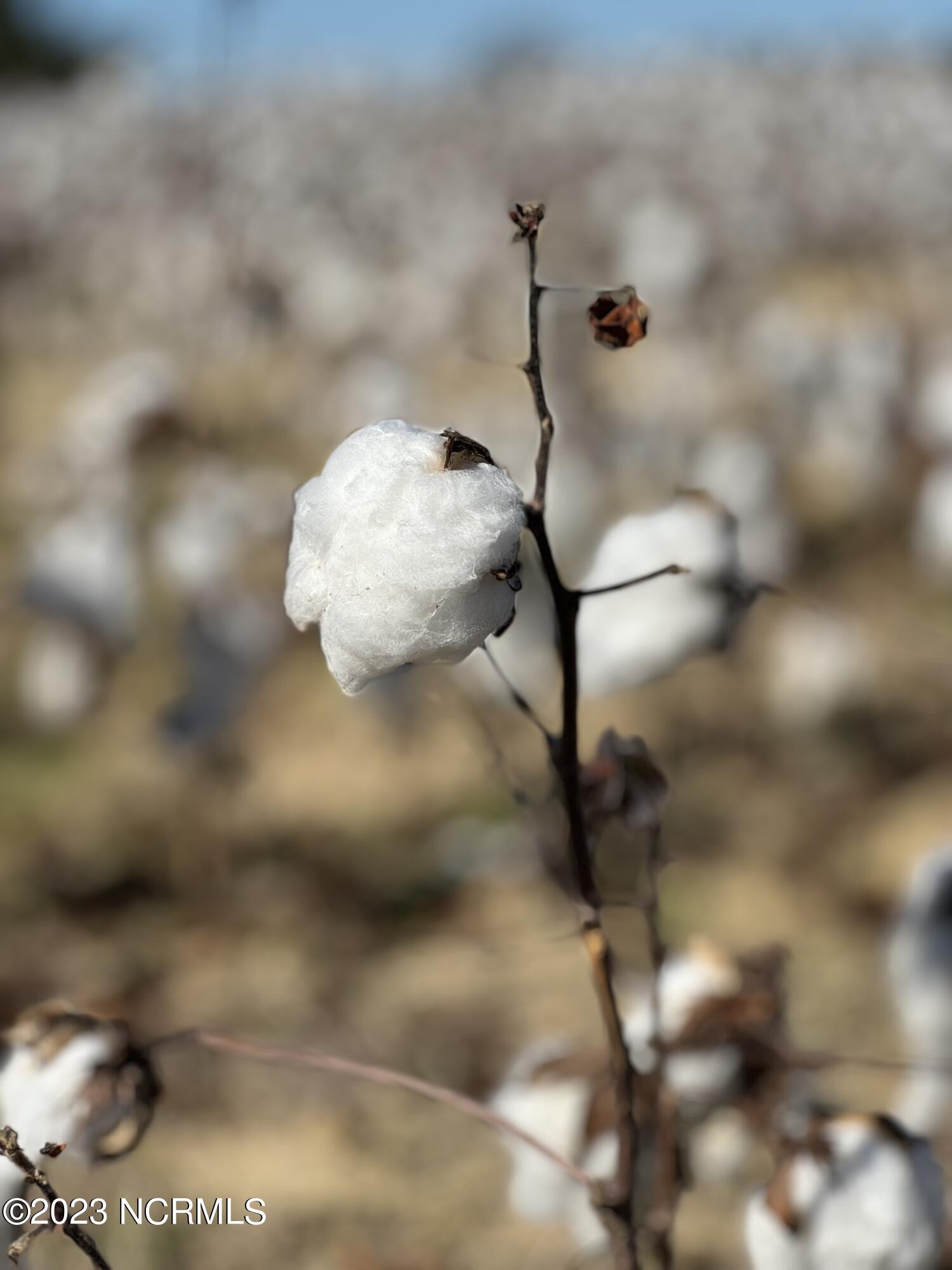 8548 Shallow Crk Trail, Unit 187 Bailey, NC 27807 - Photo 23 of 24 Bailey